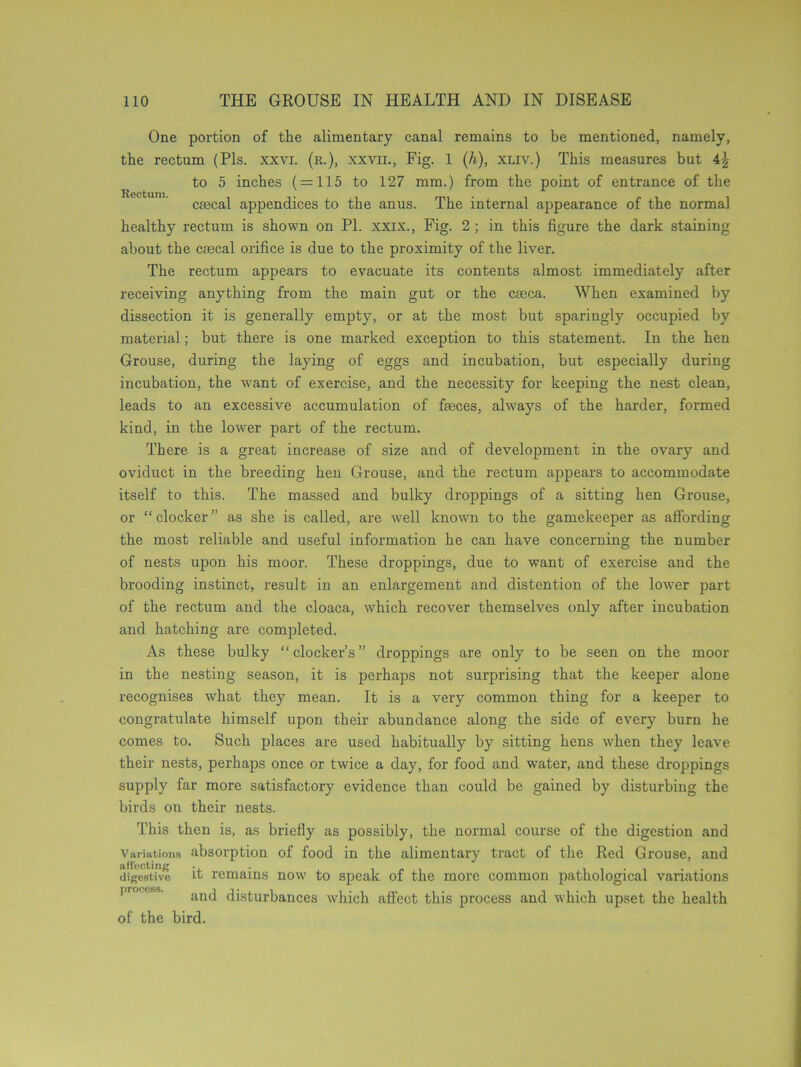 Rectum. One portion of the alimentary canal remains to be mentioned, namely, the rectum (Pis. xxvi. (r.), xxvii., Fig. 1 (h), xliv.) This measures but 4^ to 5 inches ( = 115 to 127 mm.) from the point of entrance of the csecal appendices to the anus. The internal appearance of the normal healthy rectum is shown on PI. xxix., Fig. 2 ; in this figure the dark staining about the ctecal orifice is due to the proximity of the liver. The rectum appears to evacuate its contents almost immediately after receiving anything from the main gut or the caeca. When examined by dissection it is generally empty, or at the most but sparingly occupied by material; but there is one marked exception to this statement. In the hen Grouse, during the laying of eggs and incubation, but especially during incubation, the w’ant of exercise, and the necessity for keeping the nest clean, leads to an excessive accumulation of faeces, always of the harder, formed kind, in the lower part of the rectum. There is a great increase of size and of development in the ovary and oviduct in the breeding hen Grouse, and the rectum appears to accommodate itself to this. The massed and bulky droppings of a sitting hen Grouse, or “ docker ” as she is called, are well known to the gamekeeper as affording the most reliable and useful information he can have concerning the number of nests upon his moor. These droppings, due to want of exercise and the brooding instinct, result in an enlargement and distention of the lower part of the rectum and the cloaca, which recover themselves only after incubation and hatching are completed. As these bulky “docker’s” droppings are only to be seen on the moor in the nesting season, it is perhaps not surprising that the keeper alone recognises wdiat they mean. It is a very common thing for a keeper to congratulate himself upon their abundance along the side of every burn he comes to. Such places are used habitually by sitting hens when they leave their nests, perhaps once or twice a day, for food and wrater, and these droppings supply far more satisfactory evidence than could be gained by disturbing the birds on their nests. This then is, as briefly as possibly, the normal course of the digestion and Variations absorption of food in the alimentary tract of the Red Grouse, and digestive it remains now to speak of the more common pathological variations and disturbances which affect this process and which upset the health of the bird.