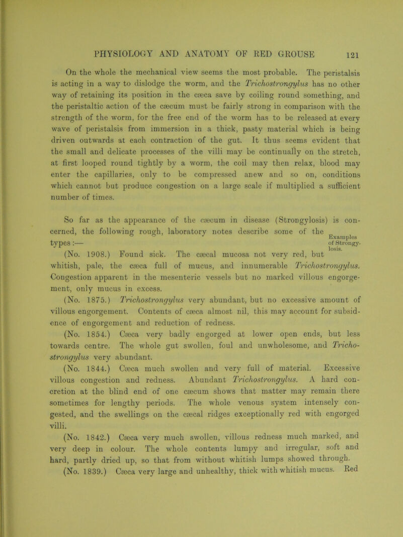 On the whole the mechanical view seems the most probable. The peristalsis is acting in a way to dislodge the worm, and the Trichostrongylus has no other way of retaining its position in the caeca save by coiling round something, and the peristaltic action of the caecum must be fairly strong in comparison with the strength of the worm, for the free end of the worm has to be released at every wave of peristalsis from immersion in a thick, pasty material which is being driven outwards at each contraction of the gut. It thus seems evident that the small and delicate processes of the villi may be continually on the stretch, at first looped round tightly by a worm, the coil may then relax, blood may enter the capillaries, only to be compressed anew and so on, conditions which cannot but produce congestion on a large scale if multiplied a sufficient number of times. So far as the appearance of the caecum in disease (Strongylosis) is con- cerned, the following rouedi, laboratory notes describe some of the 6 ° J Examples types : of Strong}'- losis. (No. 1908.) Found sick. The caecal mucosa not very red, but whitish, pale, the caeca full of mucus, and innumerable Trichostrongylus. Congestion apparent in the mesenteric vessels but no marked villous engorge- ment, only mucus in excess. (No. 1875.) Trichostrongylus very abundant, but no excessive amount of villous engorgement. Contents of caeca almost nil, this may account for subsid- ence of engorgement and reduction of redness. (No. 1854.) Caeca very badly engorged at lower open ends, but less towards centre. The whole gut swollen, foul and unwholesome, and Tricho- strongylus very abundant. (No. 1844.) Caeca much swollen and very full of material. Excessive villous congestion and redness. Abundant Trichostrongylus. A hard con- cretion at the blind end of one caecum shows that matter may remain there sometimes for lengthy periods. The whole venous system intensely con- gested, and the swellings on the caecal ridges exceptionally red with engorged villi. (No. 1842.) Caeca very much swollen, villous redness much marked, and very deep in colour. The whole contents lumpy and irregular, soft and hard, partly dried up, so that from without whitish lumps showed through. (No. 1839.) Caeca very large and unhealthy, thick with whitish mucus. Red