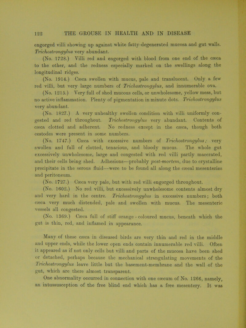 engorged villi showing up against white fatty-degenerated mucosa and gut walls. Trichostrongylus very abundant. (No. 1728.) Villi red and engorged with blood from one end of the caeca to the other, and the redness especially marked on the swellings along the longitudinal ridges. (No. 1914.) Caeca swollen with mucus, pale and translucent. Only a few red villi, but very large numbers of Trichostrongylus, and innumerable ova. (No. 1215.) Very full of shed mucous cells, or unwholesome, yellow mess, but no active inflammation. Plenty of pigmentation in minute dots. Trichostrongylus very abundant. (No. 1827.) A very unhealthy swollen condition with villi uniformly con- gested and red throughout. Trichostrongylus very abundant. Contents of caeca clotted and adherent. No redness except in the caeca, though both cestodes were present in some numbers. (No. 1747.) Caeca with excessive numbers of Trichostrongylus; very swollen and full of clotted, tenacious, and bloody mucus. The whole gut excessively unwholesome, large and congested with red villi partly macerated, and their cells being shed. Adhesions—probably post-mortem, due to crystalline precipitate in the serous fluid—were to be found all along the caecal mesenteries and peritoneum. (No. 1727.) Caeca very pale, but with red villi engorged throughout. (No. 1602.) No red villi, but excessively unwholesome contents almost dry and very hard in the centre. Trichostrongylus in excessive numbers; both caeca very much distended, pale and swollen with mucus. The mesenteric vessels all congested. (No. 1369.) Caeca full of stiff orange - coloured mucus, beneath which the gut is thin, red, and inflamed in appearance. Many of these caeca in diseased birds are very thin and red in the middle and upper ends, while the lower open ends contain innumerable red villi. Often it appeared as if not only cells but villi and parts of the mucosa have been shed or detached, perhaps because the mechanical strangulating movements of the Trichostrongylus leave little but the basement-membrane and the wall of the gut, which are there almost transparent. One abnormality occurred in connection with one caecum of No. 1266, namely, an intussusception of the free blind end which has a free mesentery. It was