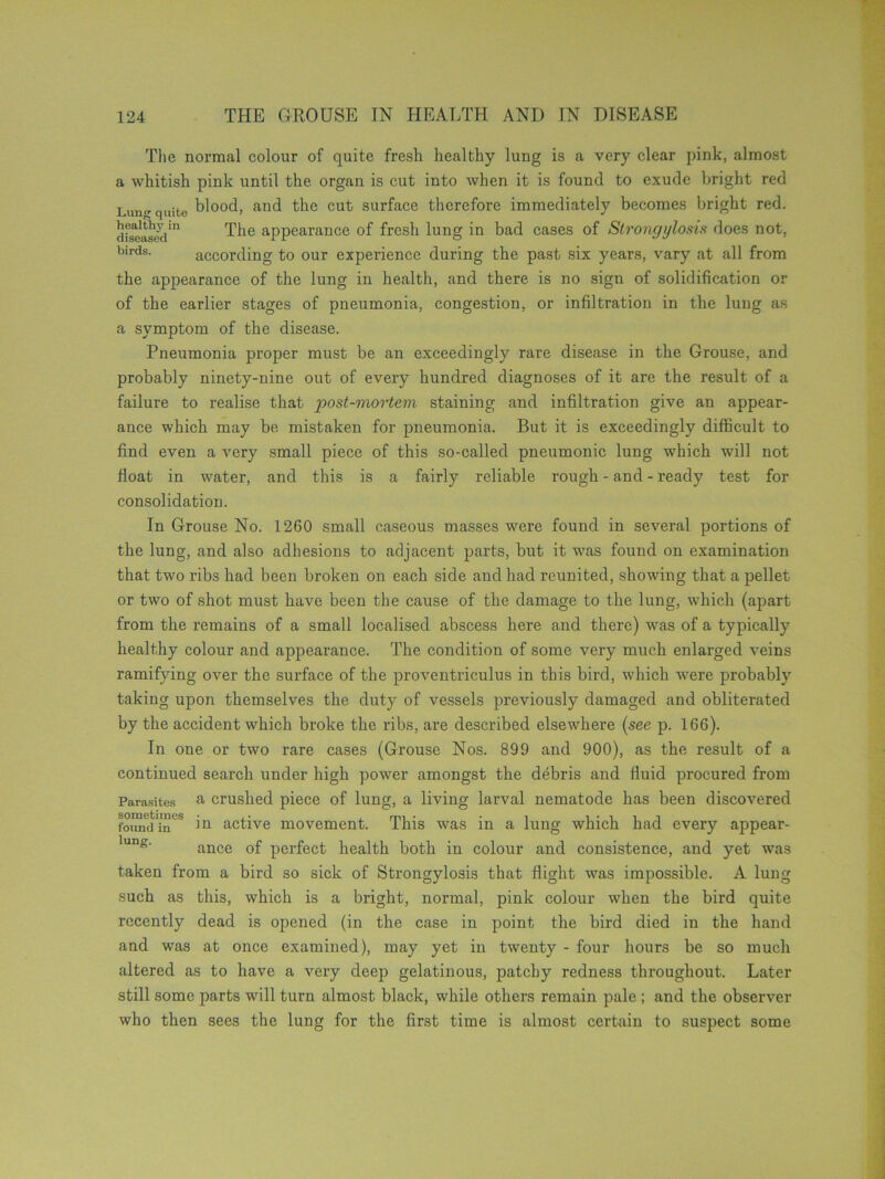 The normal colour of quite fresh healthy lung is a very clear pink, almost a whitish pink until the organ is cut into when it is found to exude bright red Lung quite blood, and the cut surface therefore immediately becomes bright red. diseased1 The appearance of fresh lung in bad cases of Strongylosis does not, birds. according to our experience during the past six years, vary at all from the appearance of the lung in health, and there is no sign of solidification or of the earlier stages of pneumonia, congestion, or infiltration in the lung as a symptom of the disease. Pneumonia proper must be an exceedingly rare disease in the Grouse, and probably ninety-nine out of every hundred diagnoses of it are the result of a failure to realise that post-mortem staining and infiltration give an appear- ance which may be mistaken for pneumonia. But it is exceedingly difficult to find even a very small piece of this so-called pneumonic lung which will not float in water, and this is a fairly reliable rough - and - ready test for consolidation. In Grouse No. 1260 small caseous masses were found in several portions of the lung, and also adhesions to adjacent parts, but it was found on examination that two ribs had been broken on each side and had reunited, showing that a pellet or two of shot must have been the cause of the damage to the lung, which (apart from the remains of a small localised abscess here and there) was of a typically healthy colour and appearance. The condition of some very much enlarged veins ramifying over the surface of the proventriculus in this bird, which were probably taking upon themselves the duty of vessels previously damaged and obliterated by the accident which broke the ribs, are described elsewhere (see p. 166). In one or two rare cases (Grouse Nos. 899 and 900), as the result of a continued search under high power amongst the debris and fluid procured from Parasites & crushed piece of lung, a living larval nematode has been discovered found'in'^ bi active movement. This was in a lung which had every appear- lung' ance of perfect health both in colour and consistence, and yet was taken from a bird so sick of Strongylosis that flight was impossible. A lung such as this, which is a bright, normal, pink colour when the bird quite recently dead is opened (in the case in point the bird died in the hand and was at once examined), may yet in twenty - four hours be so much altered as to have a very deep gelatinous, patchy redness throughout. Later still some parts will turn almost black, while others remain pale ; and the observer who then sees the lung for the first time is almost certain to suspect some
