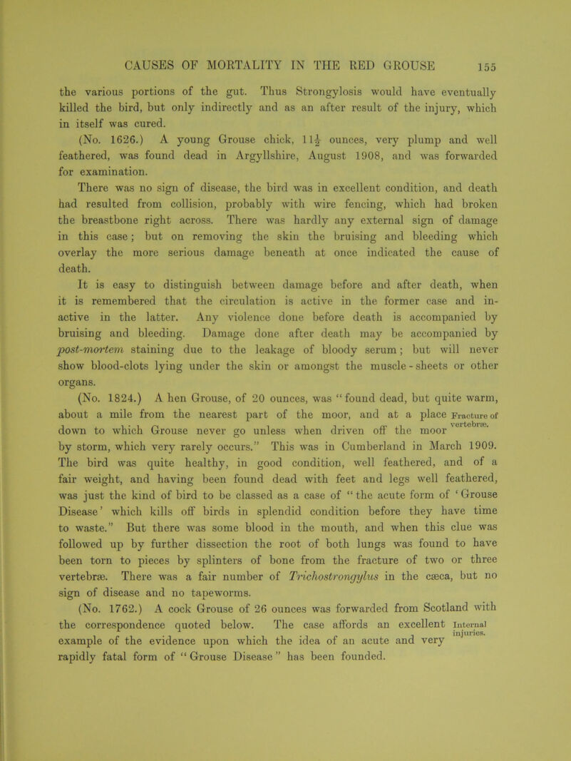 the various portions of the gut. Thus Strongylosis would have eventually killed the bird, but only indirectly and as an after result of the injury, which in itself was cured. (No. 1626.) A young Grouse chick, 11^- ounces, very plump and well feathered, was found dead in Argyllshire, August 1908, and was forwarded for examination. There was no sign of disease, the bird was in excellent condition, and death had resulted from collision, probably with wire fencing, which had broken the breastbone right across. There was hardly any external sign of damage in this case; but on removing the skin the bruising and bleeding which overlay the more serious damage beneath at once indicated the cause of death. It is easy to distinguish between damage before and after death, when it is remembered that the circulation is active in the former case and in- active in the latter. Any violence done before death is accompanied by bruising and bleeding. Damage done after death may be accompanied by post-mortem staining due to the leakage of bloody serum; but will never show blood-clots lying under the skin or amongst the muscle - sheets or other organs. (No. 1824.) A hen Grouse, of 20 ounces, was “found dead, but quite warm, about a mile from the nearest part of the moor, and at a place Fracture of down to which Grouse never go unless when driven off the moor'6' ° Ia' by storm, which very rarely occurs.” This was in Cumberland in March 1909. The bird was quite healthy, in good condition, well feathered, and of a fair weight, and having been found dead with feet and legs well feathered, was just the kind of bird to be classed as a case of “ the acute form of ‘ Grouse Disease’ which kills off birds in splendid condition before they have time to waste.” But there was some blood in the mouth, and when this clue was followed up by further dissection the root of both lungs was found to have been torn to pieces by splinters of bone from the fracture of two or three vertebrae. There was a fair number of Trichostrongylus in the caeca, but no sign of disease and no tapeworms. (No. 1762.) A cock Grouse of 26 ounces was forwarded from Scotland with the correspondence quoted below. The case affords an excellent internal example of the evidence upon which the idea of an acute and very J rapidly fatal form of “ Grouse Disease ” has been founded.