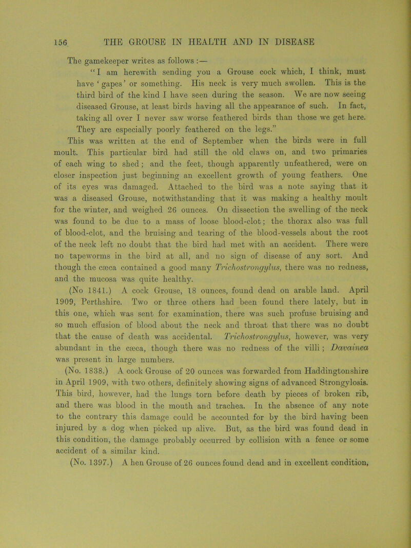 The gamekeeper writes as follows : — “ I am herewith sending you a Grouse cock which, I think, must have ‘ gapes’ or something. His neck is very much swollen. This is the third bird of the kind I have seen during the season. We are now seeing diseased Grouse, at least birds having all the appearance of such. In fact, taking all over I never saw worse feathered birds than those w'e get here. They are especially poorly feathered on the legs.” This was written at the end of September when the birds were in full moult. This particular bird had still the old claws on, and two primaries of each wing to shed; and the feet, though apparently unfeathered, were on closer inspection just beginning an excellent growth of young feathers. One of its eyes was damaged. Attached to the bird was a note saying that it was a diseased Grouse, notwithstanding that it was making a healthy moult for the winter, and weighed 26 ounces. On dissection the swelling of the neck was found to be due to a mass of loose blood-clot; the thorax also was full of blood-clot, and the bruising and tearing of the blood-vessels about the root of the neck left no doubt that the bird had met with an accident. There were no tapeworms in the bird at all, and no sign of disease of any sort. And though the caeca contained a good many Trichostrongylus, there was no redness, and the mucosa was quite healthy. (No 1841.) A cock Grouse, 18 ounces, found dead on arable land. April 1909, Perthshire. Two or three others had been found there lately, but in this one, which was sent for examination, there was such profuse bruising and so much effusion of blood about the neck and throat that there was no doubt that the cause of death was accidental. Trichostrongylus, however, was very abundant in the cseca, though there was no redness of the villi; Davainea was present in large numbers. (No. 1838.) A cock Grouse of 20 ounces was forwarded from Haddingtonshire in April 1909, with two others, definitely showing signs of advanced Strongylosis. This bird, however, had the lungs torn before death by pieces of broken rib, and there was blood in the mouth and trachea. In the absence of any note to the contrary this damage could be accounted for by the bird having been injured by a dog when picked up alive. But, as the bird was found dead in this condition, the damage probably occurred by collision with a fence or some accident of a similar kind. (No. 1397.) A hen Grouse of 26 ounces found dead and in excellent condition,