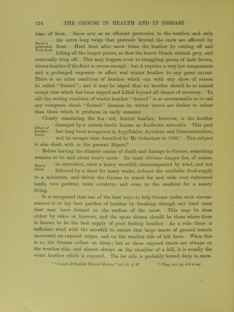 time of frost. Snow acts as an efficient protection to the heather, and only the extra long twigs that protrude beyond the snow are affected by Snow a protection frost. Hard frost after snow trims the heather by cutting off and killing all the longer pieces, so that the leaves bleach whitish grey, and eventually drop off. This may happen even to straggling pieces of dark brown, winter heather if the frost is severe enough ; but it requires a very low temperature and a prolonged exposure to affect real winter heather to any great extent. There is no other condition of heather which can with any show of reason be called “ frosted ” ; and it may be urged that no heather should be so named except that which has been nipped and killed beyond all chance of recovery. To call the resting condition of winter heather “frosted” is as unreasonable as to call any evergreen shrub “frosted” because its winter leaves are darker in colour than those which it produces in early summer. Closely simulating the fox - red, frosted heather, however, is the heather „ damaged by a certain beetle known as Lochmcea suturalis. This pest heather has long been recognised in Argyllshire, Ayrshire, and Dumbartonshire, and its ravages were described by Mr Grimshaw in 1898.1 This subject is also dealt with in the present Report.5 Before leaving the climatic causes of death and damage to Grouse, something remains to be said about heavy snow. Its most obvious danger lies, of course, in starvation, since a heavy snowfall, unaccompanied by wind, and not followed by a thaw for many weeks, reduces the available food-supply to a minimum, and drives the Grouse to travel far and wide over cultivated lands, into gardens, town outskirts, and even to the seashore for a scanty living. It is recognised that one of the best ways to help Grouse under such circum- stances is to lay bare patches of heather by breaking through any hard crust that may have formed on the surface of the snow. This may be done either by rakes or harrows, and the spots chosen should be those where there is known to be the best supply of good feeding heather. As a rule there is sufficient wind with the snowfall to ensure that large tracts of ground remain uncovered on exposed ridges, and on the weather side of hill faces. When this is so, the Grouse collect on them; but as these exposed tracts are always on the weather side, and almost always on the shoulder of a hill, it is usually the worst heather which is exposed. The lee side is probably buried deep in snow. 1 “ Annals of Scottish Natural History,” vol. vii. p. 27. 2 Chap. xix. pp. 414 et seq. Heavy snow.