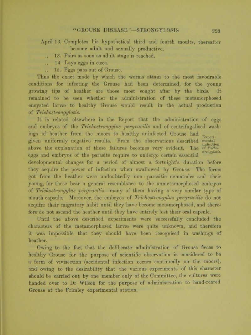 April 13. Completes his hypothetical third and fourth moults, thereafter become adult and sexually productive. ,, 13. Pairs as soon as adult stage is reached. ,, 14. Lays eggs in caeca. ,, 15. Eggs pass out of Grouse. Thus the exact mode by which the worms attain to the most favourable conditions for infecting the Grouse had been determined, for the young growing tips of heather are those most sought after by the birds. It remained to be seen whether the administration of these metamorphosed encysted larvae to healthy Grouse would result in the actual production of Trichostrongylosis. It is related elsewhere in the Report that the administration of eggs and embryos of the Trichostrongylus pergracilis and of centrifugalised wash- ings of heather from the moors to healthy uninfected Grouse had E given uniformly negative results. From the observations described mental ° J , . induction above the explanation of these failures becomes very evident. The of Tricho- i i . . . . strongylosis. eggs and embryos of the parasite require to undergo certain essential developmental changes for a period of almost a fortnight’s duration before they acquire the power of infection when swallowed by Grouse. The forms got from the heather were undoubtedly non - parasitic nematodes and their young, for these bear a general resemblance to the unmetamorphosed embryos of Trichostrongylus pergracilis—many of them having a very similar type of mouth capsule. Moreover, the embryos of Trichostrongylus pergracilis do not acquire their migratory habit until they have become metamorphosed, and there- fore do not ascend the heather until they have entirely lost their oral capsule. Until the above described experiments were successfully concluded the characters of the metamorphosed larvse were quite unknown, and therefore it was impossible that they should have been recognised in washings of heather. Owing to the fact that the deliberate administration of Grouse faeces to healthy Grouse for the purpose of scientific observation is considered to be a form of vivisection (accidental infection occurs continually on the moors), and owing to the desirability that the various experiments of this character should be carried out by one member only of the Committee, the cultures were handed over to Dr Wilson for the purpose of administration to hand-reared Grouse at the Frimley experimental station.