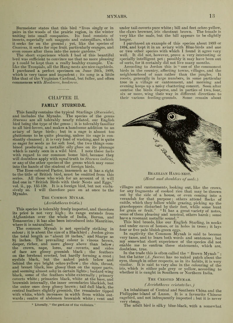 Burmeister states that this bird “ lives singly or in pairs in the woods of the prairie region, in the winter uniting into small companies. Its food consists of insects, especially soft maggots and caterpillars, which it seeks for on the ground ; yet, like the species of Cassicus, it seeks for ripe fruit, particularly oranges, and even comes after them into the music gardens.”* The short experience which I had of this beautiful b‘rd was sufficient to convince me that no more pleasing p t could he kept than a really healthy example. Un- like the Troupials, all the Hang-nests are nice cagebirds. I purchased a perfect specimen on June 24th, 1899, which is very tame and impudent ; its song is a little like that of the Virginian Cardinal, but fuller, and often commences with Hookaree, hookaree. CHAPTER II. FAMILY STURNID^E. This family contains the typical Starlings (Sturnidw), and includes the Mynahs. The species of the genus Sturnus are all tolerably nearly related, our English bird being the type of the genus ; it is tolerably familiar to all bird-lovers, and makes a handsome addition to an aviary of large birds; but in a cage is almost too gluttonous to be quite pleasing, unless its cage is con- stantly cleansed ; it is very fond of washing, and is quite as eager for seeds as for soft food, the two things com- bined producing a metallic oily gloss on its plumage which is rarely seen in a wild bird. I note these facts with regard to our common home bird, because they will doubtless apply with equal truth to Sturnus indicus, or any of the other species of the genus which may come into the hands of the student of foreign birds. The Kose-coloured Pastor, inasmuch as it has a right to the title of British bird, must be omitted from this series. All those who wish for an account of it will find one in “ British Birds with their Nests and Eggs,” vol. ii., pp. 135-138. It is a foreign bird, but not exclu- sively so. I will therefore pass on at once to the Mynahs. The Common Mynah. (Acridotheres tristis.) This species is tolerably freely imported, and therefore its price is not very high; its range extends from Afghanistan over the whole of India, Burma, and Tenasserim ; it has also been introduced into Mauritius, where it is naturalised. The common Mynah is not specially striking in colour ; it is about the size of a Blackbird ; Jerdon gives the total length as “ about 10 inches,” and Sharpe as 9£ inches. The prevailing colour is vinous brown, deeper, richer, and more glossy above than below; the crown, nape, lores, ear - coverts, and sides of face are glossy greenish black ; the feathers on the forehead erected, but hardly forming a crest ; eyelids black, but the naked patch below and behind the eye bright ochre-yellow ; the chin, throat, and breast black, less glossy than on the upper parts, and seeming almost ashy in certain lights ; bastard-wing black, some of the feathers white externally; primary coverts white ; primaries black, white at the base, and brownish internally, the inner secondaries blackish, but the outer ones deep glossy brown; tail dull black, the central feathers slightly greenish, the remainder tipped with white, which increases in width from within out- wards ; centre of abdomen brownish white ; vent and * Literally, “ the gardens of the violinists.” under tail-coverts pure white; bill and feet ochre-yellow, the claws browner, iris chestnut brown. The female is very like the male, but the bill appears to be slightly longer. I purchased an example of this species about 1893 or 1894, and kept it in an aviary with Blue-birds and one or two other species with which I found it agree very well. It did not, however, prove a very interesting or specially intelligent pet; possibly it may have been out of sorts, for it certainly did not live many months. According to Jerdon this is “ one of the commonest birds in the country, affecting towns, villages, and the neighbourhood of man rather than the jungles. It roosts, generally in large numbers, in some particular tree in a village or cantonment, and morning and evening keeps up a noisy chattering concert. Soon after sunrise the birds disperse, and in parties of two, four, six or more, wing their way in different directions to their various feeding-grounds. Some remain about (Head and should nrs of main.) villages and cantonments, looking out, like the crows, for any fragments of cooked rice that may be thrown out by the side of a house, or even coming into a verandah for that purpose; others attend flocks of cattle, which they follow while grazing, picking up the grasshoppers disturbed by their feet, while some hunt for grain or fruit.” “It has a great variety of notes, some of them pleasing and musical, others harsh ; some have a resonant metallic sound.” This bird breeds, like our English Starling, in nooks and under eaves of houses, or in holes in trees; it lays four or five pale bluish-green eggs. In captivity the Common Mynah is said to become very tame, and to learn both words and sentences ; but my somewhat short experience of the species did not enable me to confirm these statements, which are, doubtless, true. In the trade this is often called the “ Brown Mynah ” ; but the latter (A. fuscus) has no naked patch about the eyes, though in other respects, as in its habits, it is very similar. It is said to vary also in the colouring of the iris, which is either pale grey or yellow, according to whether it is caught in Southern or Northern India. The Crested Mynah. (Acridotheres cristate/lus.) An inhabitant of Central and Southern China and the Philippine island of Luzon. It is a favourite Chinese cagebird, and not infrequently imported ; but it is never very cheap. The adult bird is silky blue-black, with a somewhat