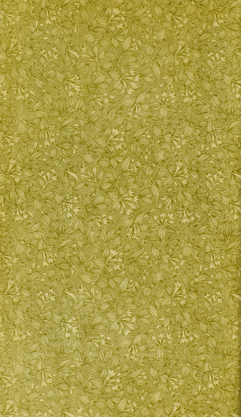 Plllll ||| MfvV^lV fUiiw 1 V'V -i. J*+^~ ^V? >> /ft > / A ».•«■- t.S*7 i—*'Cji/Ti i/jUl/ - ' .Z}> 91^/v'A ral*