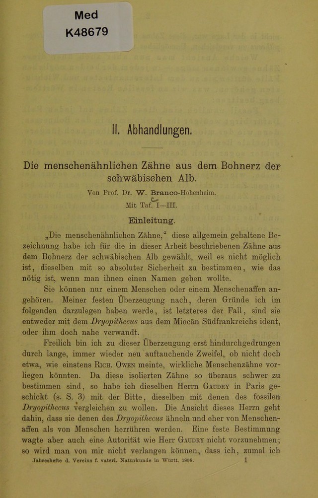 digitised image 3