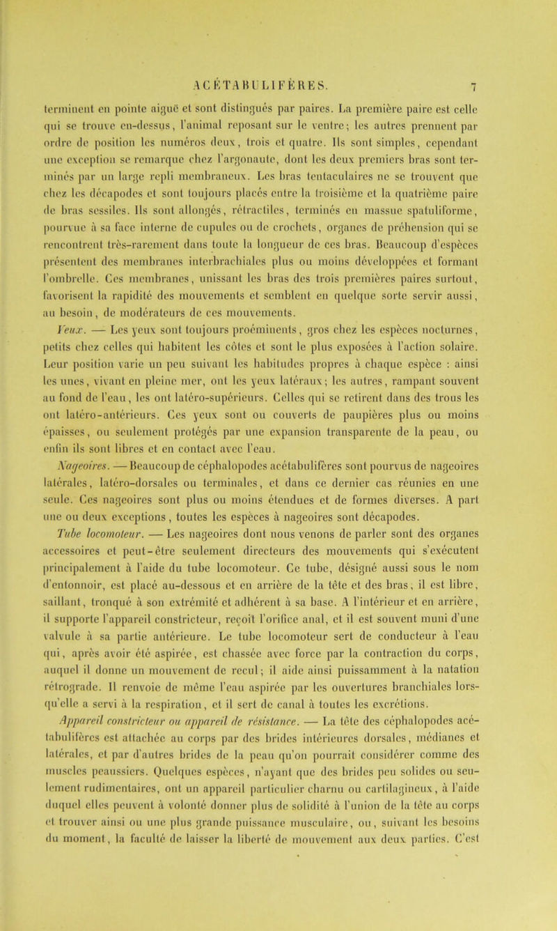 terminent en pointe aiguë et sont distingués par paires. La première paire est celle qui se trouve en-dessus, l’animal reposant sur le ventre; les autres prennent par ordre de position les numéros deux, trois et quatre. Ils sont simples, cependant une exception se remarque chez l’argonaute, dont les deux premiers bras sont ter- minés par un large repli membraneux. Les bras tentaculaires ne se trouvent que chez les décapodes et sont toujours placés entre la troisième et la quatrième paire de bras sessiles. Ils sont allongés, rétractiles, terminés en massue spaluliforme, pourvue à sa face interne de cupules ou de crochets, organes de préhension qui se rencontrent très-rarement dans toute la longueur de ces bras. Beaucoup d’espèces présentent des membranes intcrbrachiales plus ou moins développées et formant l’ombrelle. Ces membranes, unissant les bras des trois premières paires surtout, favorisent la rapidité des mouvements et semblent en quelque sorte servir aussi, au besoin, de modérateurs de ces mouvements. I'eux. — Les yeux sont toujours proéminents, gros chez les espèces nocturnes, petits chez celles qui habitent les côtes et sont le plus exposées à l’action solaire. Leur position varie un peu suivant les habitudes propres à chaque espèce : ainsi les unes, vivant en pleine mer, ont les yeux latéraux; les autres, rampant souvent au fond de l’eau, les ont latéro-supérieurs. Celles qui se retirent dans des trous les ont latéro-antérieurs. Ces yeux sont ou couverts de paupières plus ou moins épaisses, ou seulement protégés par une expansion transparente de la peau, ou enfin ils sont libres et en contact avec l’eau. Nageoires. —Beaucoup de céphalopodes acétabulifères sont pourvus de nageoires latérales, latéro-dorsales ou terminales, et dans ce dernier cas réunies en une seule. Ces nageoires sont plus ou moins étendues et de formes diverses. A part une ou deux exceptions, toutes les espèces à nageoires sont décapodes. Tube locomoteur. — Les nageoires dont nous venons de parler sont des organes accessoires et peut-être seulement directeurs des mouvements qui s’exécutent principalement à l’aide du tube locomoteur. Ce tube, désigné aussi sous le nom d’entonnoir, est placé au-dessous et en arrière de la tête et des bras, il est libre, saillant, tronqué à son extrémité et adhérent à sa base. A l’intérieur et en arrière, il supporte l’appareil constricteur, reçoit l’orifice anal, et il est souvent muni d’une valvule à sa partie antérieure. Le tube locomoteur sert de conducteur à l’eau qui, après avoir été aspirée, est chassée avec force par la contraction du corps, auquel il donne un mouvement de recul; il aide ainsi puissamment à la natation rétrograde. Il renvoie de même l’eau aspirée par les ouvertures branchiales lors- qu’elle a servi à la respiration, et il sert de canal à toutes les excrétions. Appareil constricteur ou appareil de résistance. — La tête des céphalopodes acé- tahulifèrcs est attachée au corps par des brides intérieures dorsales, médianes et latérales, et par d’autres brides de la peau qu’on pourrait considérer comme des muscles peaussiers. Quelques espèces, n’ayant que des brides peu solides ou seu- lement rudimentaires, ont un appareil particulier charnu ou cartilagineux, à l’aide duquel elles peuvent à volonté donner plus de solidité à l’union de la tête au corps et trouver ainsi ou une plus grande puissance musculaire, ou, suivant les besoins du moment, la faculté de laisser la liberté de mouvement aux deux parties. C’est