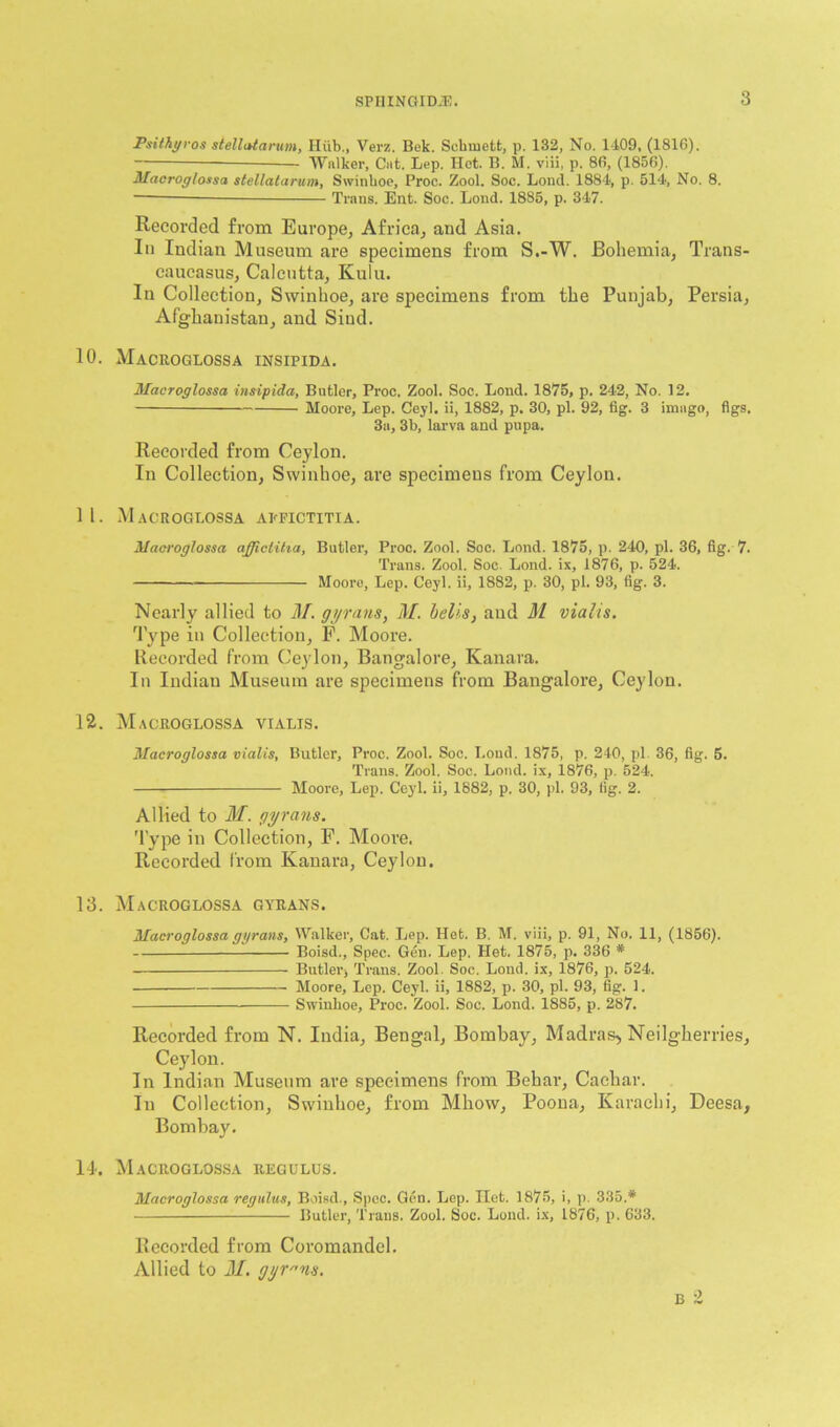 Psithyros stellatarum, Hub., Verz. Bek. Scbinett, p. 132, No. 1409, (1816). — Walker, Cat. Lep. Hot. B. M. viii, p. 86, (1856). Macroglossa stellatarum, Swinboe, Proc. Zool. Soc. Loud. 1884, p. 514, No. 8. Trans. Ent. Soc. Lond. 1885, p. 347. Recorded from Europe, Africa, and Asia. In Indian Museum are specimens from S.-W. Bohemia, Trans- caucasus, Calcutta, Kulu. In Collection, Swinboe, are specimens from the Punjab, Persia, Afghanistan, and Sind. 10. Macroglossa insipida. Macroglossa insipida, Butler, Proc. Zool. Soc. Lond. 1875, p. 242, No. 12. Moore, Lep. Ceyl. ii, 1882, p. 30, pi. 92, fig. 3 imago, figs. 3a, 3b, larva and pupa. Recorded from Ceylon. In Collection, Swinboe, are specimens from Ceylon. 1 l. Macroglossa apfictitia. Macroglossa affictiha, Butler, Proc. Zool. Soc. Lond. 1875, p. 240, pi. 36, fig. 7. Trans. Zool. Soc. Lond. ix, 1876, p. 524. Moore, Lep. Ceyl. ii, 1882, p. 30, pi. 93, fig. 3. Nearly allied to M. gyrans, M. bells, and M vialis. Type in Collection, F. Moore. Recorded from Ceylon, Bangalore, Kanara. In Indian Museum are specimens from Bangalore, Ceylon. 12. Macroglossa vialis. Macroglossa vialis, Butler, Proc. Zool. Soc. Loud. 1875, p. 240, pi. 36, fig. 5. Trans. Zool. Soc. Loud, ix, 1876, p. 524. Moore, Lep. Ceyl. ii, 1882, p. 30, pi. 93, fig. 2. Allied to M. gyrans. Type in Collection, F. Moore. Recorded from Kanara, Ceylon. 13. Macroglossa gyrans. Macroglossa gyrans, Walker, Cat. Lep. Het. B. M. viii, p. 91, No. 11, (1856). Boisd., Spec. Gen. Lep. Het. 1875, p. 336 * Butler, Trans. Zool. Soc. Lond. ix, 1876, p. 524*. Moore, Lep. Ceyl. ii, 1882, p. 30, pi. 93, fig. I. Swinboe, Proc. Zool. Soc. Lond. 1885, p. 287. Recorded from N. India, Bengal, Bombay, Madras, Neilgherries, Ceylon. In Indian Museum are specimens from Behar, Cachar. In Collection, Swinboe, from Mhow, Poona, Karachi, Deesa, Bombay. 11. Macroglossa regulus. Macroglossa regulus, Boisd., Spec. Gen. Lep. Ilct. 1875, i, p. 335.# Butler, Trans. Zool. Soc. Lond. ix, 1876, p. 633. Recorded from Coromandel. Allied to M. gyrans. B 2