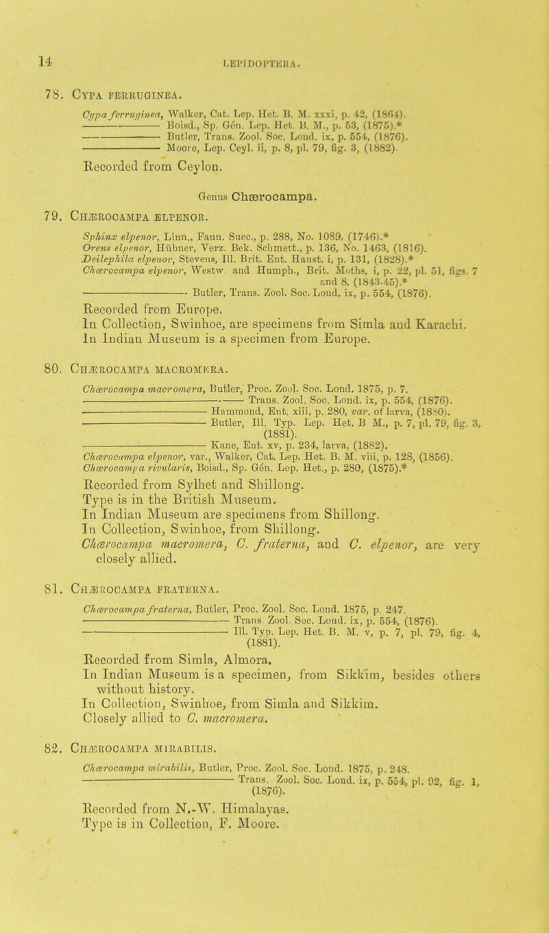 78. Cypa ferruqinea. Ci/pa ferruginea, Walker, Cut. Lep. Hot. B. M. xxxi, p. 42, (1801). Boisd., Sp. Gdn. Lep. Het. B. IS., p. 53, (1875).* Butler, Trans. Zool. Soc. Loud, ix, p. 554, (1876). Moore, Lep. Ceyl. ii, p. 8, pi. 79, fig. 3, (1882). Recorded from Ceylon. Genus Chseroeampa. 79. ClIiEROCAMPA ELPENOR. Sphinx elpenor, Linn., Faun. Suec., p. 288, No. 1089, (1746).* Oreus elpenor, Hiibner, Verz. Bek. Schmctt., p. 136, No. 1463, (1816). Deilephila elpenor, Stevens, 111. Brit. Ent. Haust. i, p. 131, (1828).* Chcerocampa elpenor, Westw. and Humph., Brit. Moths, i, p. 22, pL 51, figs. 7 and 8, (1843-45).* Butler, Trans. Zool. Soc. Loud, ix, p. 554, (1876). Recorded from Europe. In Collection, Swinhoe, are specimens from Simla and Karachi. In Indian Museum is a specimen from Europe. 80. Chcerocampa macromera. Chcerocampa macromera, Butler, Proc. Zool. Soc. Lond. 1875, p. 7. Trans. Zool. Soc. Loud, ix, p. 554, (1876). — Hammond, Ent. xiii, p. 280, car. of larva, (1880). Butler, 111. Typ. Lep. Het. B M., p. 7, pi. 79. fig. 3, (1881). Kane, Ent. xv, p. 234, larva, (1882). Chcerocampa elpenor, var., Walker, Cat. Lep. Het. B. M. viii, p. 128, (1856). Chcerocampa rivularis, Boisd., Sp. Gen. Lop. Het., p. 280, (1875).* Recorded from Sylhefc and Shillong. Type is in the British. Museum. In Indian Museum are specimens from Shillong. In Collection, Swinhoe, from Shillong. Chcerocampa macromera, G. fraterna, and C. elpenor, are very closely allied. 81. CfldiUOCAMPA FRATERNA. Chcerocampa fraterna, Butler, Proc. Zool. Soc. Lond. 1875, p. 247. Trans Zool. Soc. Loud. ix, p. 554, (1876). Ilk Typ. Lep. Hot. B. M. v, p. 7, pi. 79, fig. 4, (1881). Recorded from Simla, Almora. In Indian Museum is a specimen, from Sikkim, besides others without history. In Collection, Swinhoe, from Simla and Sikkim. Closely allied to C. macromera. 82. Chcerocampa mirabilis. Chcerocampa mirabilis, Butler, Proc. Zool. Soc. Lond. 1875, p. 248. Trans. Zool. Soc. Lond. ix, p. 554, pi. 92, fig. 1, (1876). Recorded from N.-W. Himalayas. Type is in Collection, E. Moore.