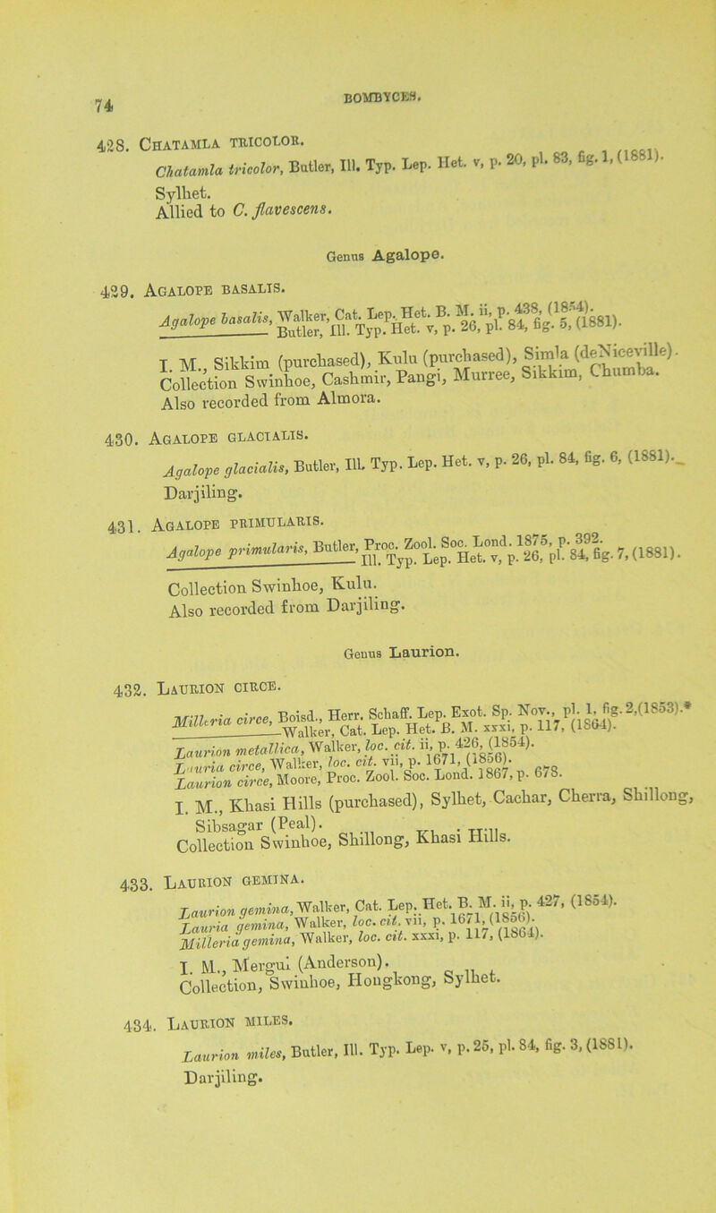 42 S. Chatamla TRICOLOR. Chatamla tricolor, Butler, 111. Typ. Lep. Het. Sylhet. Allied to C. fiavescens. v, p. 20, pi. 83, fig. 1,(1881). Genus AgalopG. 429. Agalope basalts. I. M„ Sikkim (purchased), IMu (puroUased), Simla (deNicevHle) Collection Swinboe, Cashmir, Pangi, Murree, i >. , Also recorded from Almora. 430. Agalope glactalts. A,atop, glacidU., Brito. HU Tjp. Lep. Het. v, p. 26, pi. 84, 0g. 6, (1881).. Darjiling. 431. Agalope primularis. Agalope primularis, Butler, 7, (1881). Collection Swinboe, Kulu. Also recorded from Daijilmg. Geuns Laurion. 432. Laurion circb. p °Av.p;-, s1^,8' ^1853)* LZriTcTrce, WaUte^tc. cit vii, p. Laurion circe, Moore, Proc. Zool. Soc. Bond. 1867, p. b/ii. I M., Kliasi Hills (purcliased), Sylhet, Cachar, Cherra, Shillong, Sibsagar (Peal). . Collection Swinboe, Shillong, Khasi Hills. 433. Laurion gemina. Laurion gemina, Walker, Cat. Lep. Het. B. M ii, p 427, (1854). Lauria gemina, Walker, loc.citvn, p. 1671,(185bb MiUeria gemina, Walker, loc. at. xxxi, p. 117, (lb64). I. M., Mergui (Anderson). Collection, Swinboe, Hongkong, Sylhet. 434. Laurion miles. Laurion miles, Butler, III. Typ. Lep. v, p.25, pi. 84, fig. 3, (1881). Darjiling.