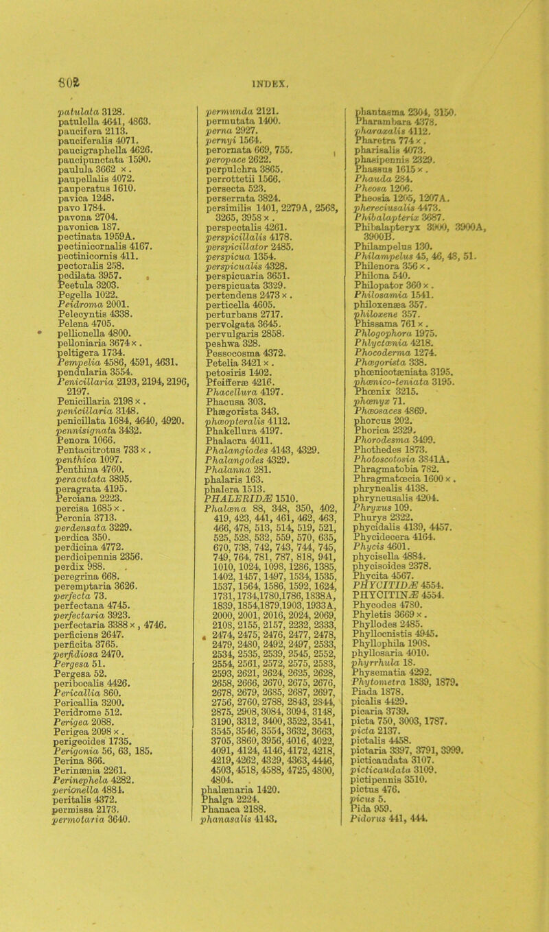 patulata 3128. patulolla 4641, 4863. paucifera 2113. pauciforalis 4071. paucigraphella 4626. paucipunctata 1590. pauluia 3662 x . paupellalia 4072. pauperatus 1610. pavica 1248. pavo 1784. pavona 2704. pavonica 187. pectinata 1959A. pectinicornalia 4167. pectinicomis 411. pectoralia 258. podilata 3957. , Peetula 3203. Pegella 1022. Peidroma 2001. Pelecyntis 4338. Pelena 4705. pellionella 4800. pelloniaria 3674 x. peltigera 1734. Pempel/ia 4586, 4591, 4631. pendularia 3554. Penicillaria 2193,2194,2196, 2197. Penicillaria 2198 x. penicillaria 3148. penicillata 1684, 4640, 4920. pennisignata, 3432. Penora 1066. Pentacitrotua 733 x, penthica 1097. Penthina 4760. peracutata 3895. peragrata 4195. Perciana 2223. perciaa 1685 x . Percnia 3713. perdensata 3229. perdica 350. perdicina 4772. perdicipennis 2356. perdix 988. peregrina 668. peremptaria 3626. perfecta 73. perfectana 4745. perfectaria 3923. perfectaria 3388 x , 4746. perficiens 2647. perficita 3765. perjidiosa 2470. Pergesa 51. Pergesa 52. peribocalis 4426. Pericallia 860. Pericallia 3200. Peridrome 512. Perigea 2088. Perigea 2098 x. perigeoides 1735. Perigonia 56, 63, 185. Perina 866. Perinsenia 2261. Perinephela 4282. perionella 4884. peritalis 4372. permisaa 2173. permotaria 3640. permunda 2121. permntata 1400. perna 2927. picrnyi 1564. perornata 669, 755. , peropace 2622. perpulchra 3865. perrottetii 1566. peraecta 523. peraerrata 3824. peraimilia 1401, 2279A, 2568, 3265, 3958 x . perspectalis 4261. perspicillalis 4178. perspicillator 2485. perspicua 1354. perspicualis 4328. perapicuaria 3651. perapicnata 3329. pertendena 2473 x . perticella 4605. perturbana 2717. pervolgata 3645. pervulgaria 2858. peabwa 328. Pessocoama 4372. Petelia 3421 x. petoairis 1402. Pfeiffer® 4216. Phacellura 4197. Pbacusa 303. Phaagorista 343. phwopteralis 4112. Phakellura 4197. Phalacra 4011. Phalangiodes 4143, 4329. Phalangodes 4329. Phalanna 281. phalaris 163. phalera 1513. PHALERIDJE 1510. Phalcena 88, 348, 350, 402, 419, 423, 441, 461, 462, 463, 466, 478, 513, 514, 519, 521, 525, 528, 532, 559, 570, 635, 670, 738, 742, 743, 744, 745, 749, 764, 781, 787, 818, 941, 1010,1024,1098,1286,1385, 1402, 1457,1497,1534,1535, 1537,1564, 1586,1592,1624, 1731,1734,1780,1786,1838A, 1839,1854,1879,1903,1933A, 2000, 2001, 2016, 2024, 2069, 2108, 2155, 2157, 2232, 2333, 4 2474, 2475, 2476, 2477, 2478, 2479, 2480, 2492, 2497, 2533, 2534, 2535, 2539, 2545, 2552, 2554, 2561, 2572, 2575, 25S3, 2593, 2621, 2624, 2625, 2628, 2658, 2666, 2670, 2675, 2676, 2678, 2679, 2685, 2687, 2697, 2756, 2760, 2788, 2843, 2S44, 2875, 2908,3084, 3094, 3148, 3190, 3312, 3400,3522, 3541, 3545,3546, 3554,3632, 3663, 3705,3860,3956,4016, 4022, 4091, 4124,4146,4172,4218, 4219,4262, 4329, 4363,4-446, 4503,4518,4588, 4725,4S00, 4804. . phalaanaria 1420. Phalga 2224. Pliannca 2188. phanasalis 41-43, phantasma 2304, 3150. J Pharambnra 4378. plwraxalig 4112. Pharetra 774 x, pharisalia 4073. phasipennia 2329. Pbaaaua 1615 x. Phauda 284. Pheoaa 1206. Pheosia 1205, 1207A. phereciusaMs 4473. Phibalapterix 3687. Phibalapteryx 3900, 3900A, 3900B. Philampeloa 130. Philampelv,s 45, 46, 48, 51. Philenora 356 x. Philona 540. Philopator 360 x. Philosamia 1541. philoxenaea 357. philoxene 357. Phissama 761 x. Phlogophoru 1975, Phlyctosnia 4218. Phocoderma 1274. Phcegorista 338. phcenicoteeniata 3195. phcenico-teniata 3195. Phoenix 3215. phcenyx 71. Phceosaces 4869. phorcua 202. Phorica 2329. Phorodesnia 3499. Phothedes 1873. Photoscotosia 3S41A. Phragmatobia 782. Phragmatcecia 1600 x. phrynealia 4138. phryneusalis 4204. Phryirws 109. Phurya 2322. phycidalis 4139, 4457. Phycidecera 4164. Phycis 4601. phycisella 4884. phycisoides 2378. Phycita 4567. PUYCITID.E 4554. PHYCITIN-3J 4554. Phycodes 4780. Phyletis 3669 x. Phyllodes 2485. Phyllocnistis 4945. Phyllophila 1903. phyllosaria 4010. phyrrhula 18. Physematia 4292. Phytometra 1839, 1879. Piada 1S78. picalis 4429. picaria 3739. picta 750, 3003,1787. picta 2137. pictalis 4458. pictaria 3397, 3791, 3999. picticaudata 3107. picticaudata 3109. pictipennis 3510. pictna 476. picus 5. Pida 959. Pidorus 441, 444.