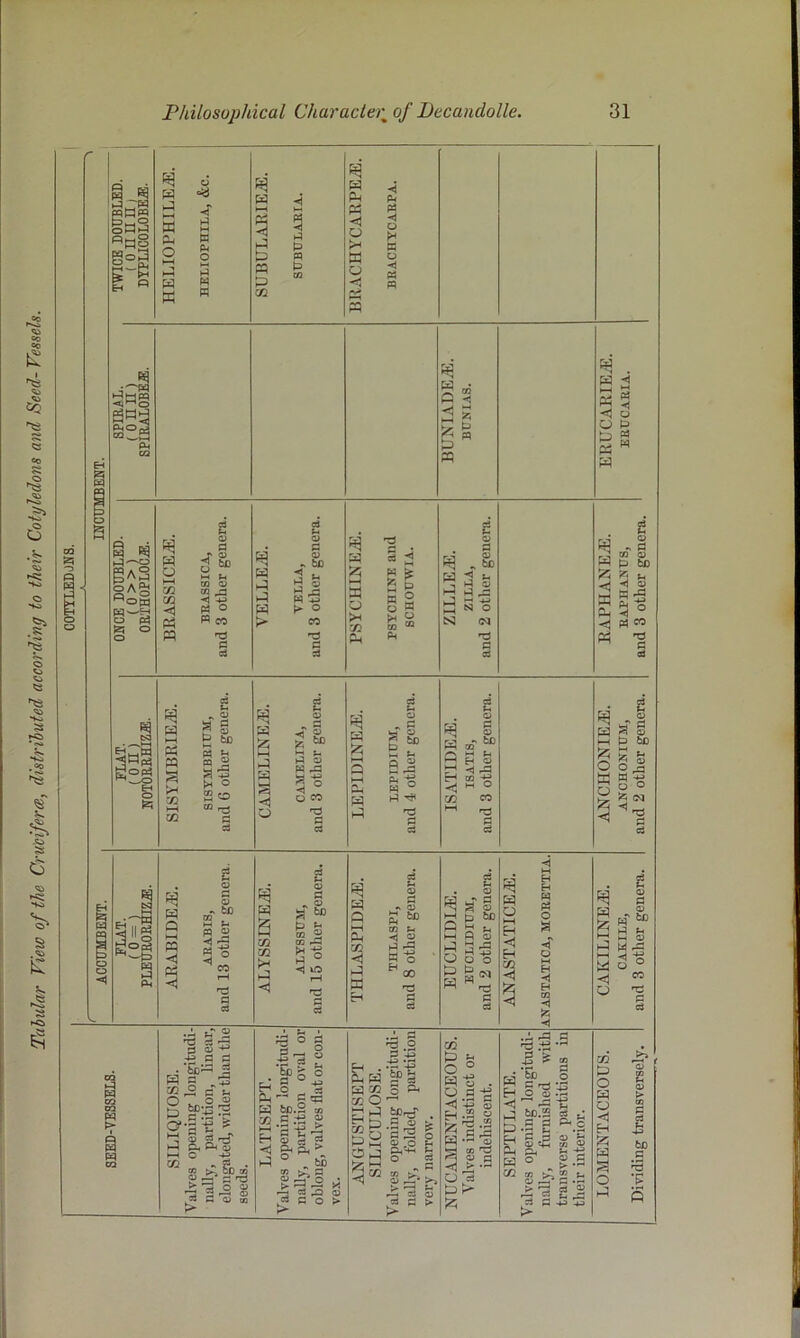 Tabular View of the Crudferm, distributed according to their Cotyledons and Seed- Vessels. I COTTLEDJlfs' CQ S=i -3 n o r j i EH W 5 S TWICE DOUBLED. (onnnj i DTPLIC0L0BE.E. 1 cJ 1-^ J' •-I i a M w 2 § M 3 a S a « l-H t-H & w rg p a ” BRACHYCARPEiE. BRACHYCARPA. SPIRAL. (0 n n) spiralobej:. Q < a m . < o P g a « a W sq gAS |Ag o Ph S O o BRASSICE^. BEASSICA, and 3 other genera. VELLEiE. TELLA, and 3 other genera. '4 3 . a 3 d ^ g ^ 3 So o 3 rt a ZILLE/E. ZILLA, and 2 other genera. EAPHANE/E. EAPHANUS, and 3 other genera. EH O a S1SYMBRIEJ5. SISTMBEIUM, and 6 other genera. CAMELINE.E. CAMBLINA, and 3 other genera. LEPIDlNEiE. lEPIDIUM, and 4 other genera. . j ISATIDEJi:. ISATIS, and 3 other genera. ANCHONIEiE. ANCHONIUM, and 2 other genera. o o ■<1 l-q AEABIDE/E. ABABIS, and 13 other genera. ALYSSINEiE. ALYSSITM, and 15 other genera. THLASPIDEiE. THLASPI, and 8 other genera. EUCLIDIiE. EUCLID lUM, and 2 other genera. S: o H ^ < < H H T m < Hi Hi CAKILINEyE. CAKILE, and 3 other genera. SEED-VESSELS. SILIQUOSE. Valves opening longitudi- nally, partition, linear, elongated, wider than the seeds. LATISEPT. Valves opening longitudi- nally, partition oval or oblong, valves flat or con- ve.v. Al^GUSTISEPT SILICULOSE. Valves opening longitudi- nally, folded, partition very narrow. NUCAMENTACEOUS. Valves indistinct or indehiscent. SEPTULATE. Valves opening longitudi- nally, furnished with transverse partitions in their interior. LOMENTACEOUS. Dividing transversely.