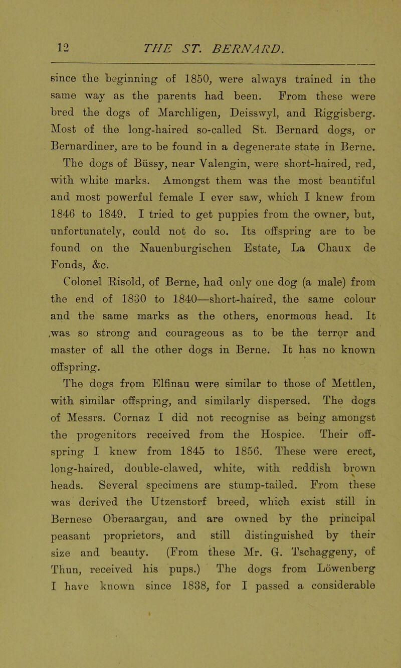 since tlie beginning of 1850, were always trained in the same way as the parents had been. From these were bred the dogs of Mai’chligen, Deisswyl, and Riggisberg. Most of the long-haired so-called St. Bernard dogs, or Bernardiner, are to be found in a degenerate state in Berne. The dogs of Biissy, near Yalengin, were short-haired, red, with white marks. Amongst them was the most beautiful and most powerful female I ever saw, which I knew from 1846 to 1849. I tried to get puppies from the owner, but, unfortunately, could not do so. Its offspring are to be found on the Nauenburgischen Estate, La Chaux de Fonds, &c. Colonel Risold, of Berne, had only one dog (a male) from the end of 1830 to 1840—short-haired, the same colour and the same mai’ks as the others, enormous head. It .was so strong and courageous as to be the terror and master of all the other dogs in Berne. It has no known offspring. The dogs from Elfinau were similar to those of Mettlen, with similar offspring, and similarly dispersed. The dogs of Messrs. Cornaz I did not recognise as being amongst the progenitors received from the Hospice. Their off- spring I knew from 1845 to 1856. These were erect, long-haired, double-clawed, white, with reddish brown heads. Several specimens are stump-tailed. From these was derived the Utzenstorf breed, which exist still in Bernese Oberaargau, and are owned by the principal peasant proprietors, and still distinguished by their size and beauty. (From these Mr. G. Tschaggeny, of Thun, received his pups.) The dogs from Lowenberg I have known since 1838, for I passed a considerable