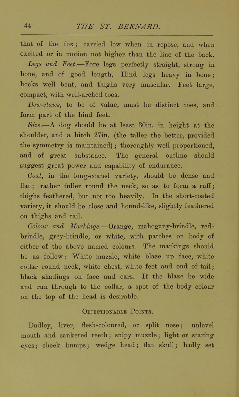 that of the fox; carried low when in repose, and when excited or in motion not higher than the line of the back. Legs and Feet.—Fore legs perfectly straight, strong in bone, and of good length. Hind legs heavy in bone; hocks well bent, and thighs very muscular. Feet large, compact, with well-arched toes. Dew-claws, to be of value, must be distinct toes, and form part of the hind feet. Size.—A dog should be at least 30in. in height at the shoulder, and a bitch 27in. (the taller the better, provided the symmetry is maintained); thoroughly well proportioned, and of great substance. The general outline should suggest great power and capability of endurance. Goat, in the long-coated variety, should be dense and flat; rather fuller round the neck, so as to form a ruff; thighs feathered, but not too heavily. In the short-coated variety, it should be close and hound-like, slightly feathered on thighs and tail. Colour and Markings.—Orange, maliogany-brindle, red- brindle, grey-brindle, or white, with patches on body of either of the above named coloui's. The markings should be as follow: White muzzle, white blaze up face, white collar round neck, white chest, white feet and end of tail; black shadings on face and ears. If the blaze be wide and run through to the collar, a spot of the body colour on the top of the head is desirable. Objectionable Points. Dudley, liver, flesh-coloured, or split nose; unlevel mouth and cankered teeth; snipy muzzle; light or staring eyes; cheek bumps; wedge head; flat skull; badly set