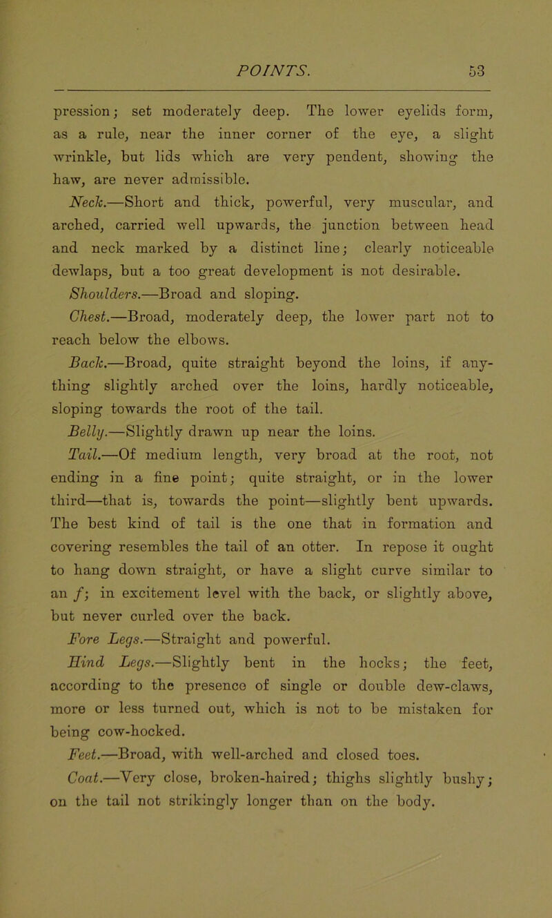 pression; set moderately deep. The lower eyelids form, as a rule, near the inner corner of the eye, a slight wrinkle, hut lids which are very pendent, showing the haw, are never admissible. Neck.—Short and thick, powerful, very muscular, and arched, carried well upwards, the junction between head and neck marked by a distinct line; clearly noticeable dewlaps, but a too great development is not desirable. Shoulders.—Broad and sloping. Chest.—Broad, moderately deep, the lower part not to reach below the elbows. Back.—Broad, quite straight beyond the loins, if any- thing slightly arched over the loins, hardly noticeable, sloping towards the root of the tail. Belly.—Slightly drawn up near the loins. Tail.—Of medium length, very broad at the root, not ending in a fine point; quite straight, or in the lower third—that is, towards the point—slightly bent upwards. The best kind of tail is the one that in formation and covering resembles the tail of an otter. In repose it ought to hang down straight, or have a slight curve similar to an /; in excitement level with the back, or slightly above, but never curled over the back. Fore Legs.—Straight and powerful. Hind Legs.—Slightly bent in the hocks; the feet, according to the presence of single or double dew-claws, more or less turned out, which is not to be mistaken for being cow-hocked. Feet.—Broad, with well-arched and closed toes. Coat.—Very close, broken-haired; thighs slightly bushy; on the tail not strikingly longer than on the body.