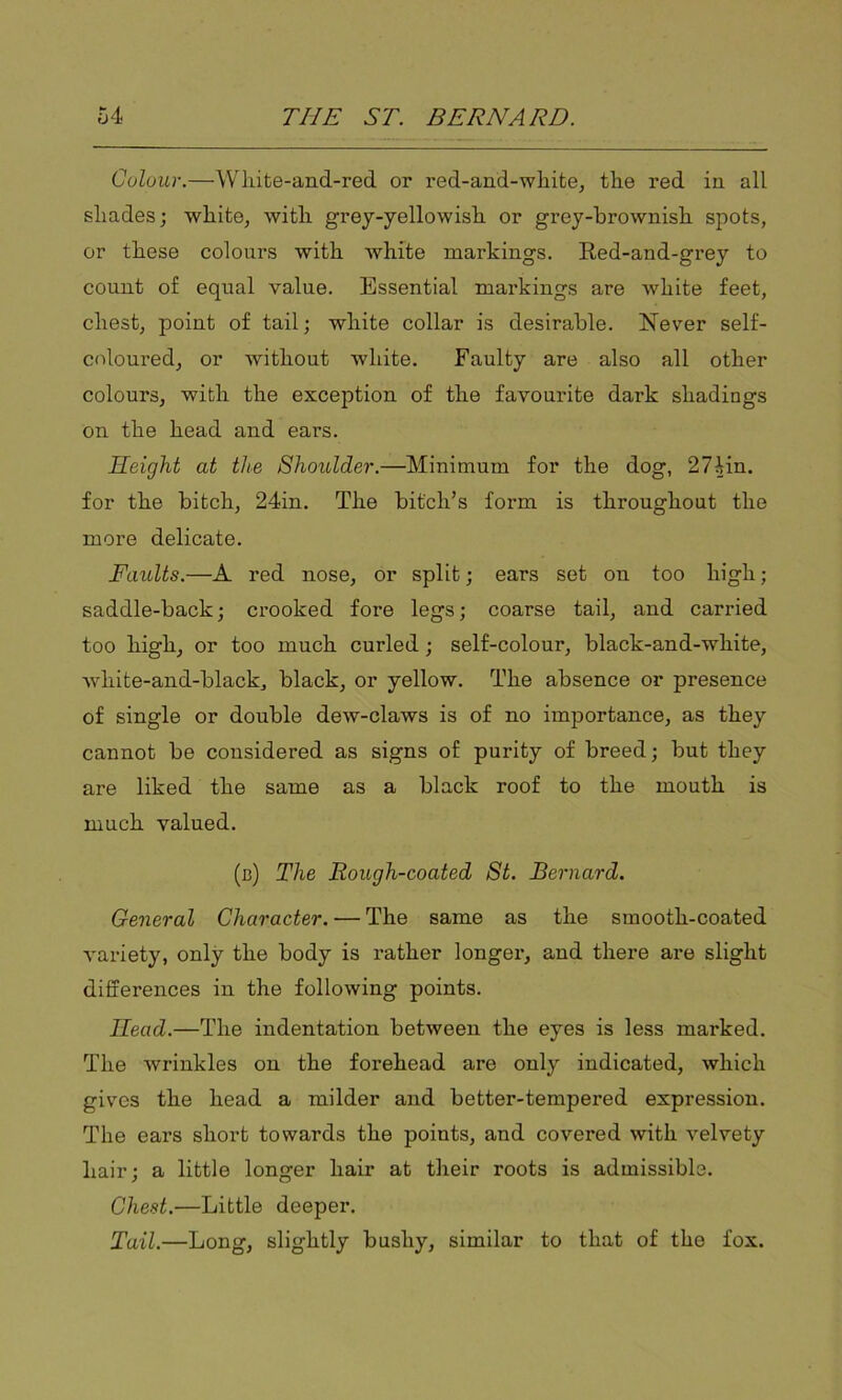 Colour.—Wh.ite-and.-red or red-and-white, the red in all shades; white, with grey-yellowish or grey-brownish spots, or these colours with white markings. Red-and-grey to count of equal value. Essential markings are white feet, chest, point of tail; white collar is desirable. Never self- coloured, or without white. Faulty are also all other colours, with the exception of the favourite dark shadings on the head and ears. Height at the Shoulder.—Minimum for the dog, 27iin. for the bitch, 24in. The bit'cli’s form is throughout the more delicate. Faults.—A red nose, or split; ears set on too high; saddle-back; crooked fore legs; coarse tail, and carried too high, or too much curled; self-colour, black-and-white, wliite-and-black, black, or yellow. The absence or presence of single or double dew-claws is of no importance, as they cannot be considered as signs of purity of breed; but they are liked the same as a black roof to the mouth is much valued. (b) The Rough-coated St. Bernard. General Character. — The same as the smooth-coated variety, only the body is rather longer, and there are slight differences in the following points. Head.—The indentation between the eyes is less marked. The wrinkles on the forehead are only indicated, which gives the head a milder and better-tempered expression. The ears short towards the points, and covered with velvety hair; a little longer hair at their roots is admissible. Chest.—Little deeper. Tail.—Long, slightly bushy, similar to that of the fox.