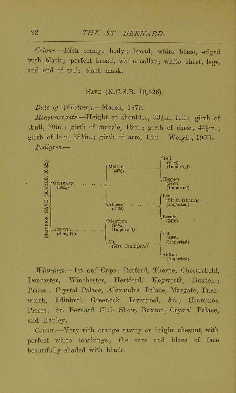 Colour.—Rich orange body; broad, white blaze, edged with black; perfect broad, white collar; white chest, legs, and end of tail; black mask. Save (K.C.S.B. 10,626). Date of Whelping.—March, 1879. Measurements.—Height at shoulder, 33^in. full ; girth of skull, 28in.; girth of muzzle, 16in.; girth of chest, 44£in.; girth of loin, 38Hn.; girth of arm, 13in. Weight, 1901b. Pedigree.— M 03 /Othmann d (6422) K vIlEDwra .. (Sneyd’s) fMoltke (4478) V Abbess (2403) Meuthon (2443) (Imported) l Alp (Mrs. Grainger’s) J Tell (2458) (Imported) V. Hospice (2429) (Imported) (Leo (Sir C. Isham’s) (Imported) LBernie (2416) fTell (2458) (Imported) 1 Aldtoff (Imported) Winnings.—1st and Cups : Retford, Thorne, Chesterfield, Doncaster, Winchester, Hertford, Kegworth, Buxton ; Prizes : Crystal Palace, Alexandra Palace, Margate, Farn- worth, Edinbro’, Greenock, Liverpool, &c.; Champion Prizes: St. Bernard Club Show, Buxton, Crystal Palace, and Hanley. Colour.—Very rich orange tawny or bright chesnut, with perfect white markings; the ears and blaze of face beautifully shaded with black.