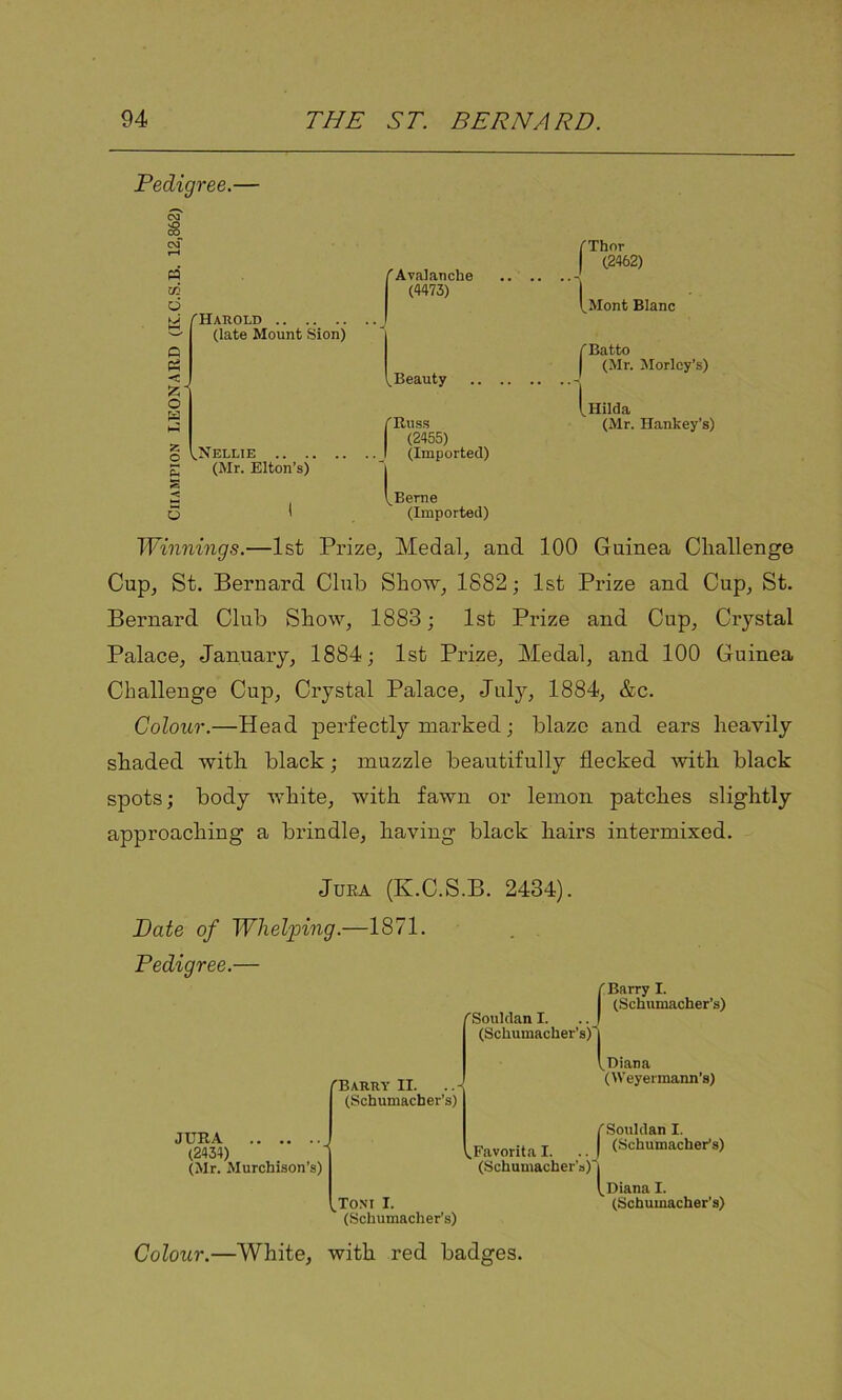 Pedigree.— & (Harold (late Mount Sion) O o ^Nellie (Mr. Elton’s) s u I f Avalanche (4473) Beauty (Buss (2455) (Imported) v Berne (Imported) /'Thor | (2462) (.Mont Blanc /Bat to | (Mr. Morlcy’s) [ Hilda (Mr. Hankey’s) Winnings.—1st Prize, Medal, and 100 Guinea Challenge Cup, St. Bernard Club Show, 1882; 1st Prize and Cup, St. Bernard Club Show, 1883; 1st Prize and Cup, Crystal Palace, January, 1884; 1st Prize, Medal, and 100 Guinea Challenge Cup, Crystal Palace, July, 1884, &c. Colour.—Head perfectly marked; blaze and ears heavily shaded with black; muzzle beautifully flecked with black spots; body white, with fawn or lemon patches slightly approaching a brindle, having black hairs intermixed. Jura (K.C.S.B. 2434). jDate of Whelping.—1871. Pedigree.— (Souldan I. (Schumacher's)! 'Barry I. (Schumacher’s) (Barry II. (Schumacher’s) JURA (2434) (Mr. Murchison’s) \.Favorita I. (Schumacher's) (Diana (Weyermann’s) /'Souldan I. (Schumacher’s) Toni I. (Schumacher’s) 1 Diana I. (Schumacher’s) Colour.—White, with red badges.