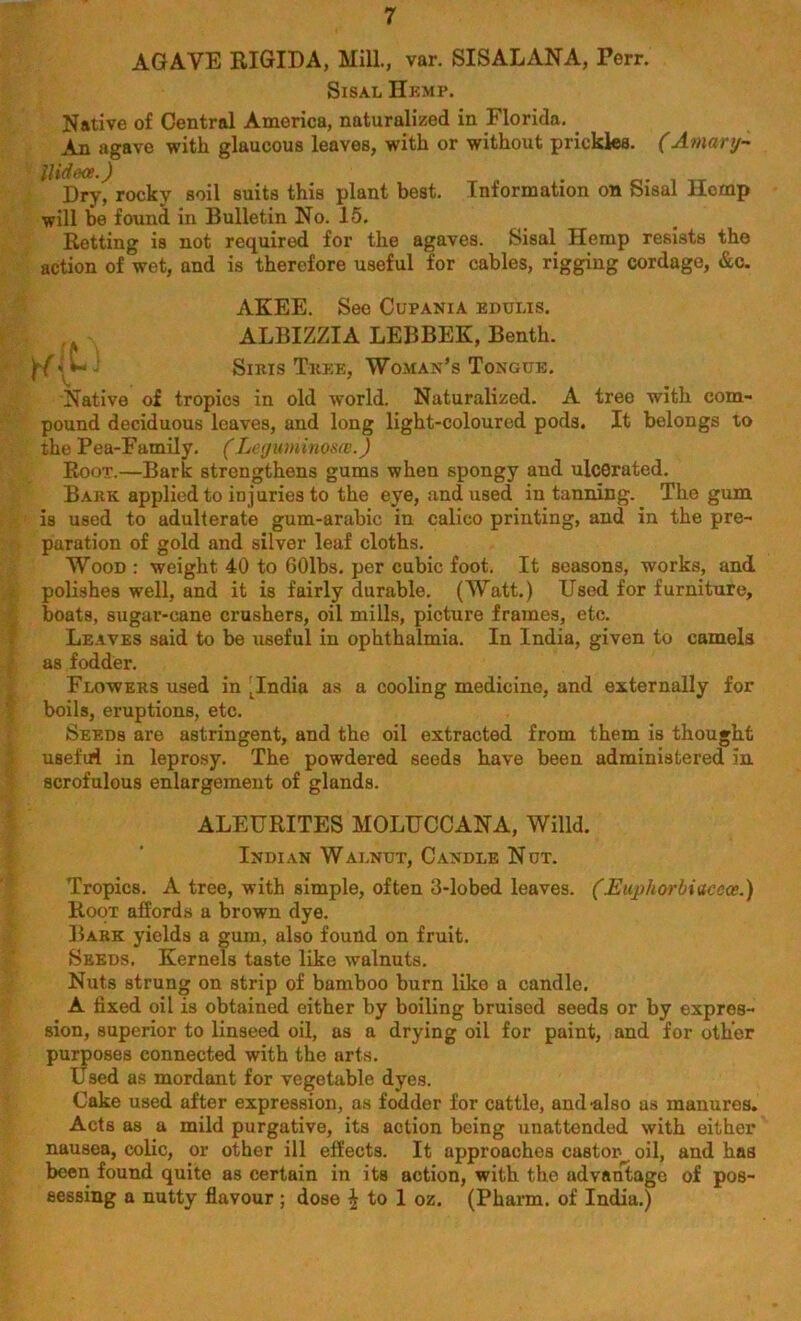 AGAVE RIGIDA, Mill., var. SISALANA, Terr. Sisal Hemp. Native of Central America, naturalized in Florida. An agave with glaucous leaves, with or without prickles. (Amary- llidecs.) Dry, rocky soil suits this plant best. Information on Sisal Hemp will be found in Bulletin No. 15. Retting is not required for the agaves. Sisal Hemp resists the action of wet, and is therefore useful for cables, rigging cordage, &c. AKEE. See Cupania edulis. ALBIZZIA LEBBEK, Benth. * U Siris Tree, Woman’s Tongue. Native of tropics in old world. Naturalized. A tree with com- pound deciduous leaves, and long light-coloured pods. It belongs to the Pea-Family. (Leguminosce.) Root.—Bark strengthens gums when spongy and ulcerated. Bark applied to injuries to the eye, and used in tanning. The gum is used to adulterate gum-arabic in calico printing, and in the pre- paration of gold and silver leaf cloths. Wood : weight 40 to 601bs. per cubic foot. It seasons, works, and polishes well, and it is fairly durable. (Watt.) Used for furniture, boats, sugar-cane crushers, oil mills, picture frames, etc. Leaves said to be useful in ophthalmia. In India, given to camels as fodder. Flowers used in 'India as a cooling medicine, and externally for boils, eruptions, etc. Seeds are astringent, and the oil extracted from them is thought useful in leprosy. The powdered seeds have been administered in. scrofulous enlargement of glands. ALEURITES MOLUCCANA, Willd. Indian Walnut, Candle Nut. Tropics. A tree, with simple, often 3-lobed leaves. (.Euphorbiaccce.) Root affords a brown dye. Bark yields a gum, also found on fruit. Seeds. Kernels taste like walnuts. Nuts strung on strip of bamboo burn like a candle. A fixed oil is obtained either by boiling bruised seeds or by expres- sion, superior to linseed oil, as a drying oil for paint, and for other purposes connected with the arts. Used as mordant for vegetable dyes. Cake used after expression, as fodder for cattle, and-also as manures. Acts as a mild purgative, its action being unattended with either nausea, colic, or other ill efEects. It approaches castor^ oil, and has been found quite as certain in its action, with the advantage of pos- sessing a nutty flavour ; dose £ to 1 oz. (Pharm. of India.)