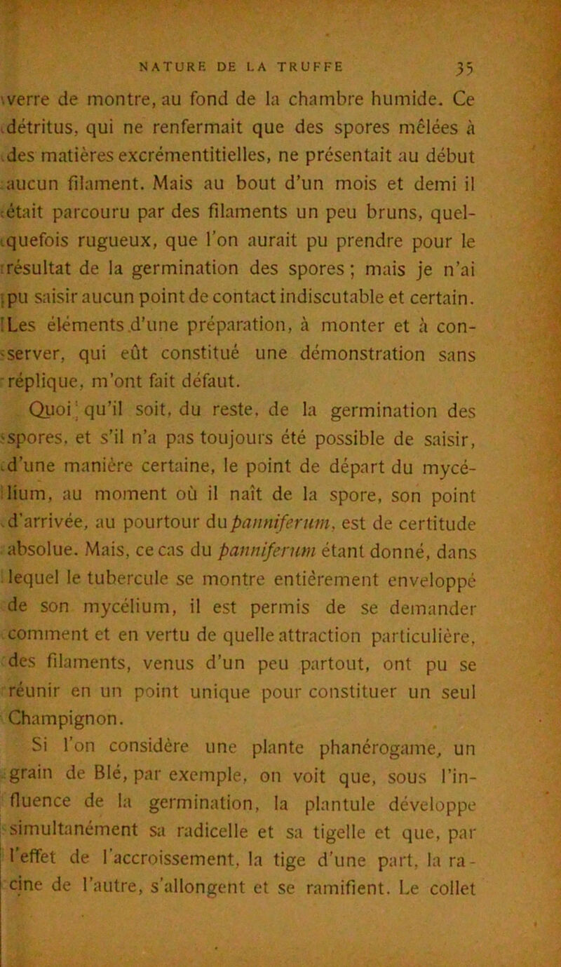 .verre de montre, au fond de la chambre humide. Ce .détritus, qui ne renfermait que des spores mêlées à des matières excrémentitielles, ne présentait au début aucun filament. Mais au bout d’un mois et demi il : était parcouru par des filaments un peu bruns, quel- quefois rugueux, que l’on aurait pu prendre pour le résultat de la germination des spores; mais je n’ai .pu saisir aucun point de contact indiscutable et certain. 'Les éléments d’une préparation, à monter et à con- server, qui eût constitué une démonstration sans réplique, m’ont fait défaut. Quoi'qu’il soit, du reste, de la germination des -spores, et s’il n’a pas toujours été possible de saisir, .d’une manière certaine, le point de départ du mycé- lium, au moment où il naît de la spore, son point d’arrivée, au pourtour dupannifertim, est de certitude absolue. Mais, ce cas du pannifenm étant donné, dans lequel le tubercule se montre entièrement enveloppé de son mycélium, il est permis de se demander comment et en vertu de quelle attraction particulière, des filaments, venus d’un peu partout, ont pu se réunir en un point unique pour constituer un seul Champignon. Si l’on considère une plante phanérogame, un grain de Blé, par exemple, on voit que, sous l’in- fluence de la germination, la plantule développe simultanément sa radicelle et sa tigelle et que, par 1 effet de 1 accroissement, la tige d’une part, la ra- cine de l’autre, s’allongent et se ramifient. Le collet