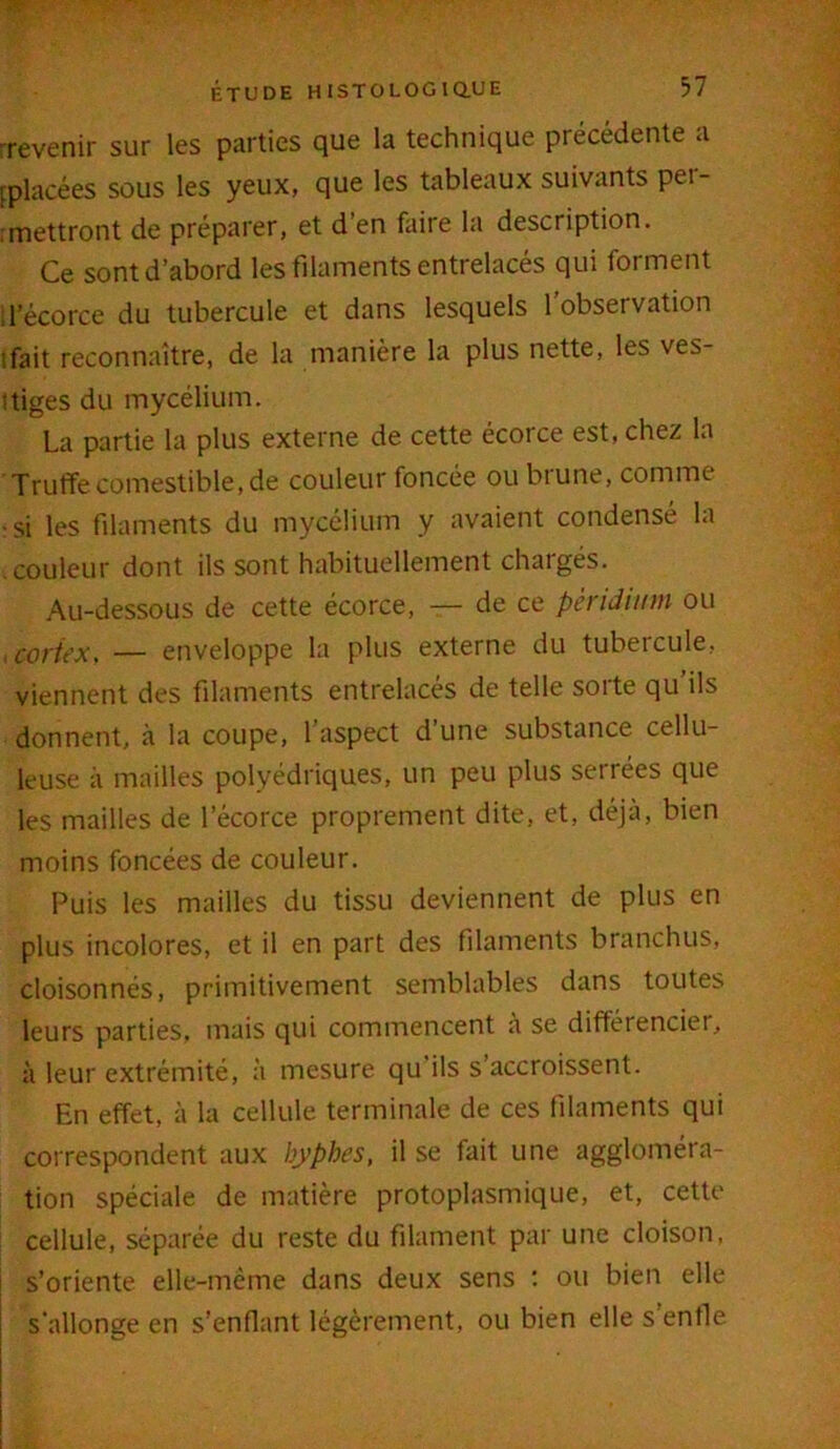 rrevenir sur les parties que la technique précédente a [placées sous les yeux, que les tableaux suivants pei- : mettront de préparer, et d en faire la description. Ce sont d’abord les filaments entrelacés qui forment d’écorce du tubercule et dans lesquels l’observation ifait reconnaître, de la manière la plus nette, les ves- tiges du mycélium. La partie la plus externe de cette écorce est, chez la Truffe comestible, de couleur foncée ou btune, comme -si les filaments du mycélium y avaient condensé la .couleur dont ils sont habituellement chargés. Au-dessous de cette écorce, — de ce pèridium ou i cortex, — enveloppe la plus externe du tubercule, viennent des filaments entrelacés de telle sorte qu’ils donnent, à la coupe, l’aspect d’une substance cellu- leuse à mailles polyédriques, un peu plus serrées que les mailles de l’écorce proprement dite, et, déjà, bien moins foncées de couleur. Puis les mailles du tissu deviennent de plus en plus incolores, et il en part des filaments branchus, cloisonnés, primitivement semblables dans toutes leurs parties, mais qui commencent à se différencier, à leur extrémité, à mesure qu ils s’accroissent. En effet, à la cellule terminale de ces filaments qui correspondent aux byphes, il se fait une aggloméra- tion spéciale de matière protoplasmique, et, cette cellule, séparée du reste du filament par une cloison, s’oriente elle-même dans deux sens : ou bien elle s'allonge en s’enflant légèrement, ou bien elle s’enfle