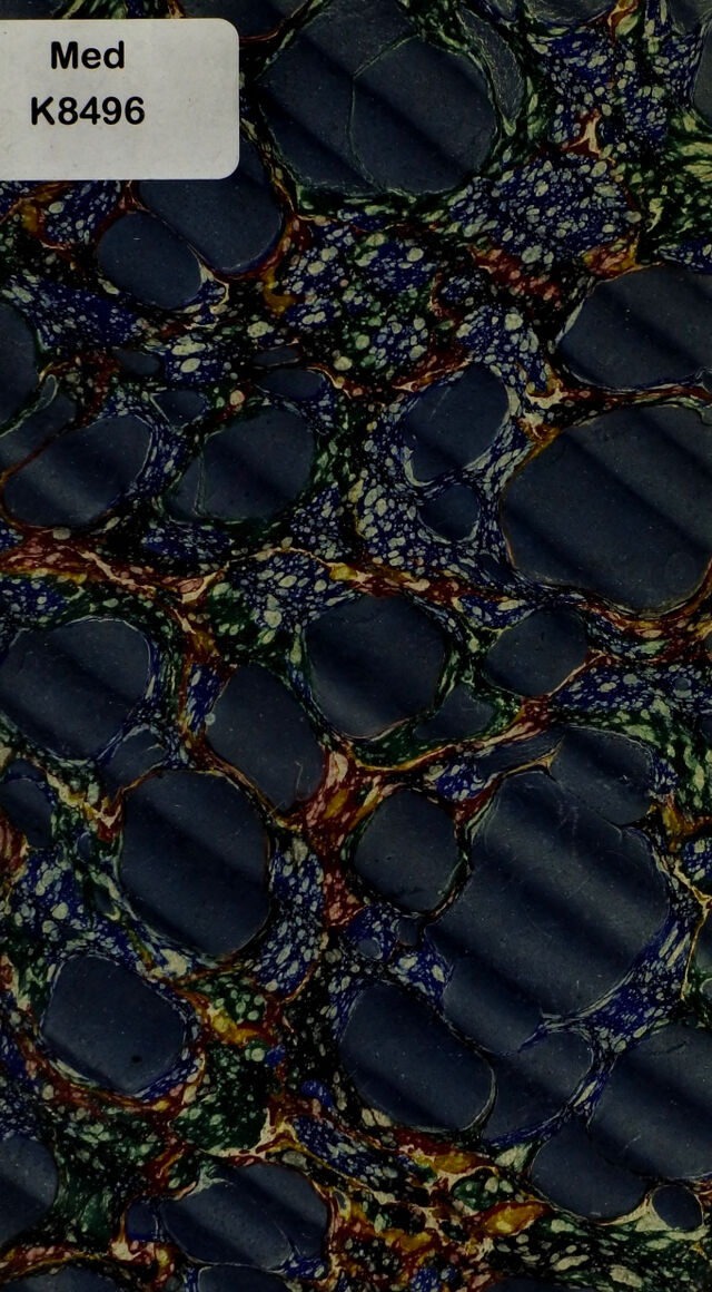 digitised image 3