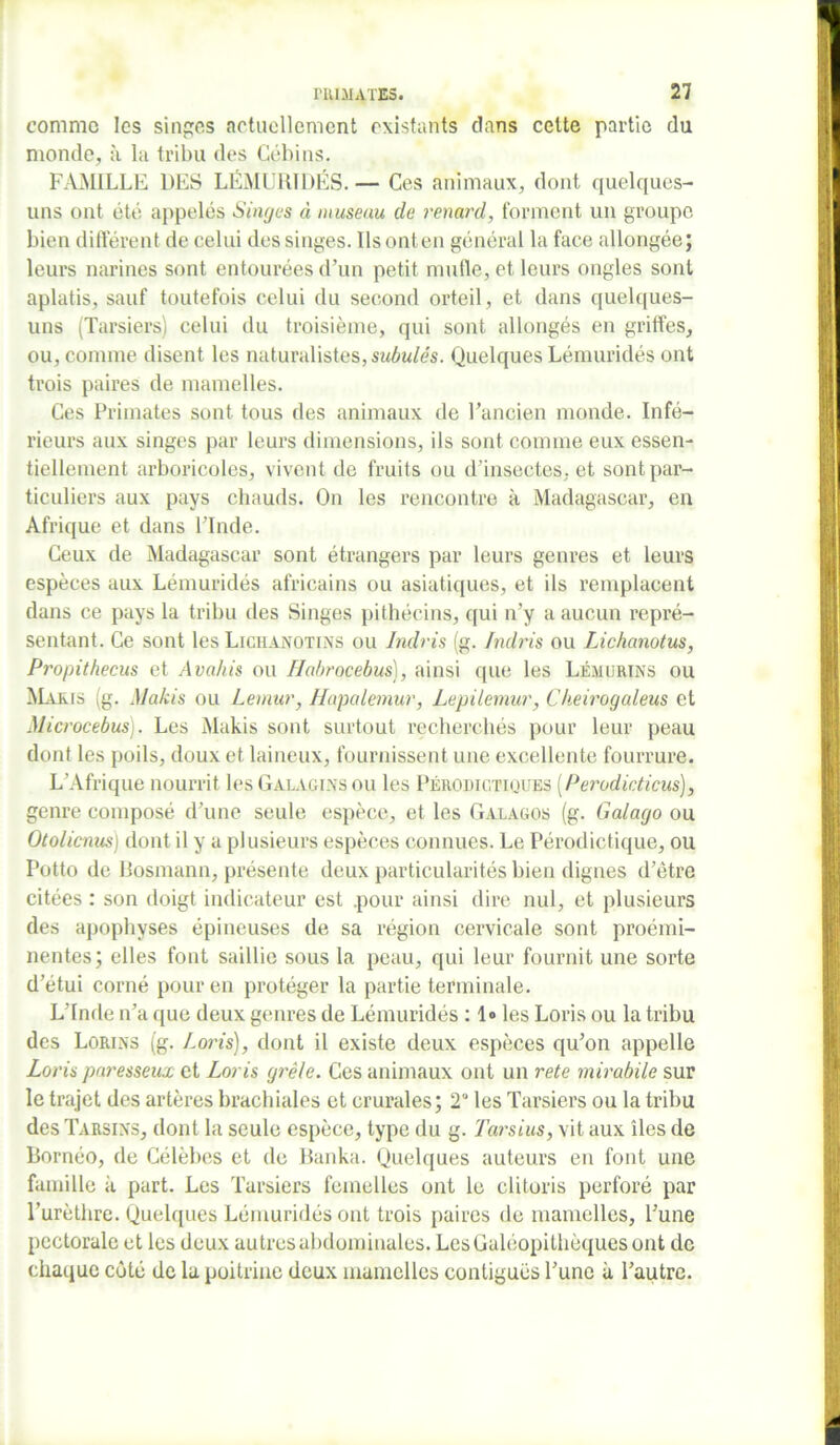 comme les singes actuellement existants clans celte partie du monde, à la tribu des Cébins. FAMILLE DES LËMURIDÉS. — Ces animaux, dont quelques- uns ont été appelés Singes à museau de renard, forment un groupe bien différent de celui des singes. Ilsonten général la face allongée; leurs narines sont entourées d’un petit mufle, et leurs ongles sont aplatis, sauf toutefois celui du second orteil, et dans quelques- uns (Tarsiers) celui du troisième, qui sont allongés en griffes, ou, comme disent les naturalistes, subulês. Quelques Lémuridés ont trois paires de mamelles. Ces Primates sont tous des animaux de l’ancien monde. Infé- rieurs aux singes par leurs dimensions, ils sont comme eux essen- tiellement arboricoles, vivent de fruits ou d’insectes, et sont par- ticuliers aux pays chauds. On les rencontre à Madagascar, en Afrique et dans l’Inde. Ceux de Madagascar sont étrangers par leurs genres et leurs espèces aux Lémuridés africains ou asiatiques, et ils remplacent dans ce pays la tribu des Singes pithécins, qui n’y a aucun repré- sentant. Ce sont les Lichanotins ou Indris (g. Indris ou Lichanotus, Pj'opithecus et Ava/iis ou Habrocebus), ainsi cpie les Léhurins ou Makis (g. Makis ou Lemur, Hapalemur, Lepilemur, Cheirogaleus et Microcebus). Les Makis sont surtout recherchés pour leur peau dont les poils, doux et laineux, fournissent une excellente fourrure. L’Afrique nourrit les Galagixs ou les Pérodictiques (Perodic.ticus), genre composé d’une seule espèce, et les Galagos (g. Galago ou Otolicnus) dont il y a plusieurs espèces connues. Le Pérodictique, ou Potto de Bosmann, présente deux particularités bien dignes d’ètre citées : son doigt indicateur est .pour ainsi dire nul, et plusieurs des apophyses épineuses de sa région cervicale sont proémi- nentes; elles font saillie sous la peau, qui leur fournit une sorte d’étui corné pour en protéger la partie terminale. L’Inde n’a que deux genres de Lémuridés : 1» les Loris ou la tribu des Lori.xs (g. Loris), dont il existe deux espèces qu’on appelle Loris paresseux et Loris grêle. Ces animaux ont un rete mirabile sur le trajet des artères brachiales et crurales; 2° les Tarsiers ou la tribu des Tarsixs, dont la seule espèce, type du g. Tarsius, vit aux îles de Bornéo, de Célèbes et de Banka. Quelques auteurs en font une famille à part. Les Tarsiers femelles ont le clitoris perforé par l’urèthre. Quelques Lémuridés ont trois paires de mamelles, l’une pectorale et les deux autres abdominales. LesGaléopithèques ont de chaque côté de la poitrine deux mamelles contiguës l’une à l’autre.