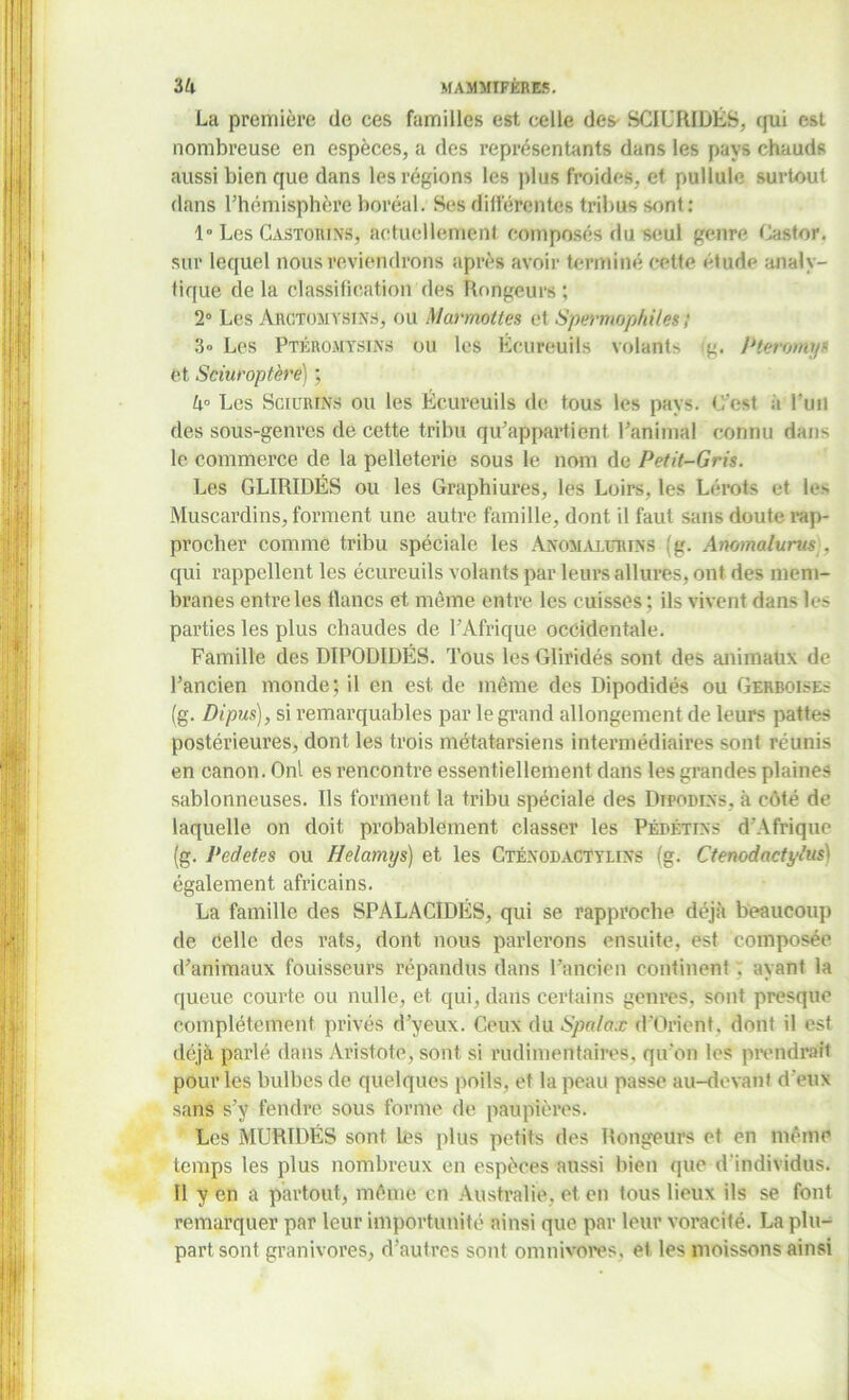 La première de ces familles est celle des SCIURIDÉS, qui est nombreuse en espèces, a des représentants dans les pays chauds aussi bien que dans les régions les plus froides, et pullule surtout dans l’hémisphère boréal. Ses différentes tribus sont: 1° Les Castorixs, actuellement composés du seul genre Castor, sur lequel nous reviendrons après avoir terminé cette étude analy- tique de la classification des Rongeurs ; 2° Les AêCtomysins, ou Marmottes et Spermophiles ; 3° Les Ptêïiomysins ou les Écureuils volants g. Pteromys et Sciuroptère) ; 4° Les SciürINS ou les Écureuils de tous les pays. C'est à l’un des sous-genres de cette tribu qu’appartient l’animal connu dans le commerce de la pelleterie sous le nom de Petit-Gris. Les GLIRIDÉS ou les Graphiures, les Loirs, les Lérots et les Muscardins, forment une autre famille, dont il faut sans doute rap- procher comme tribu spéciale les AnomàitjRins (g. Anomalurus , qui rappellent les écureuils volants par leurs allures, ont des mem- branes entre les flancs et môme entre les cuisses; ils vivent dans les parties les plus chaudes de l’Afrique occidentale. Famille des DIPODIDÉS. Tous les Gliridés sont des animaux de l’ancien monde; il en est de même des Dipodidés ou Gerboises (g. Dipus), si remarquables par le grand allongement de leurs pattes postérieures, dont les trois métatarsiens intermédiaires sont réunis en canon. Onl es rencontre essentiellement dans les grandes plaines sablonneuses. Ils forment la tribu spéciale des Dipodixs, à côté de laquelle on doit probablement classer les Pépétixs d'Afrique (g. Pedetes ou Helamys) et les Cténodactylixs (g. Ctenodactylus) également africains. La famille des SPALACIDÉS, qui se rapproche déjà beaucoup de celle des rats, dont nous parlerons ensuite, est composée d’animaux fouisseurs répandus dans l’ancien continent ; ayant la queue courte ou nulle, et qui, dans certains genres, sont presque complètement privés d’yeux. Ceux du Spalax d’Orient, dont il est déjà parlé dans Aristote, sont si rudimentaires, qu’on les prendrait pour les bulbes de quelques poils, et la peau passe au-devant d'eux sans s’y fendre sous forme de paupières. Les MURIDÉS sont les plus petits des Rongeurs et en même temps les plus nombreux en espèces aussi bien que d'individus. Il y en a partout, môme en Australie, et en tous lieux ils se font remarquer par leur importunité ainsi que par leur voracité. La plu- part sont granivores, d’autres sont omnivores, et les moissons ainsi