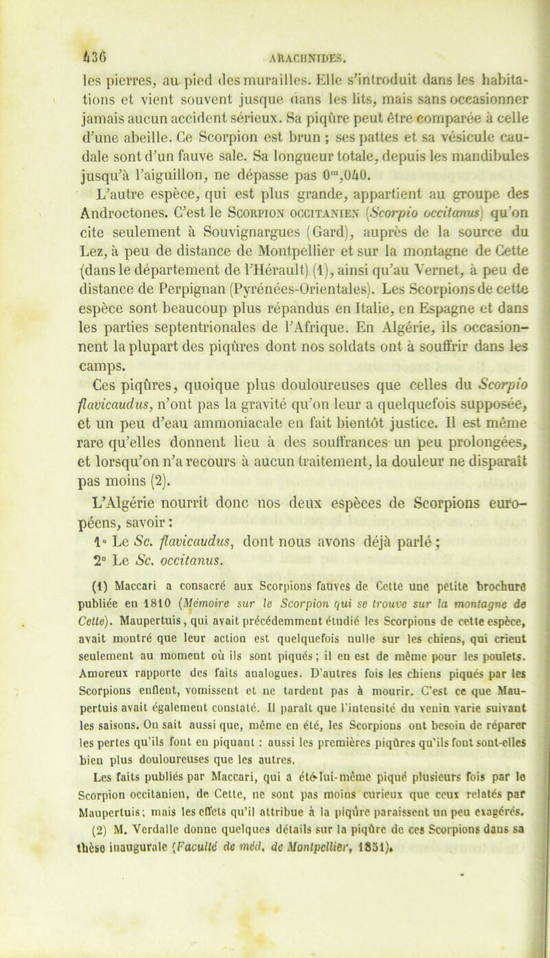 les pierres, au-pied des murailles. Elle s’introduit dans les habita- tions et vient souvent jusque dans les lits, mais sans occasionner jamais aucun accident sérieux. Sa piqûre peut être comparée à celle d’une abeille. Ce Scorpion est brun ; ses pattes et sa vésicule cau- dale sont d’un fauve sale. Sa longueur totale, depuis les mandibules jusqu’à l’aiguillon, ne dépasse pas 0’,0/i0. L’autre espèce, qui est plus grande, appartient au groupe des Androctones. C’est le Scorpion occitanien (Scorpio occitanus) qu’on cite seulement à Souvignargues (Gard), auprès de la source du Lez, à peu de distance de Montpellier et sur la montagne de Cette (dans le département de l’Hérault) (1), ainsi qu’au Vernet, à peu de distance de Perpignan (Pyrénées-Orientales). Les Scorpions de cette espèce sont beaucoup plus répandus en Italie, en Espagne et dans les parties septentrionales de l’Afrique. En Algérie, ils occasion- nent la plupart des piqûres dont nos soldats ont à souffrir dans les camps. Ces piqûres, quoique plus douloureuses que celles du Scorpio flavicaudus, n’ont pas la gravité qu’on leur a quelquefois supposée, et un peu d’eau ammoniacale en fait bientôt justice. 11 est même rare qu’elles donnent lieu à des souffrances un peu prolongées, et lorsqu’on n’a recours à aucun traitement, la douleur ne disparait pas moins (2). L’Algérie nourrit donc nos deux espèces de Scorpions euro- péens, savoir : 1» Le Sc. flavicaudus, dont nous avons déjà parlé; 2° Le Sc. occitanus. (1) Maccari a consacré aux Scorpions fauves de Cette une petite brochure publiée en 1810 (Mémoire sur le Scorpion qui se trouve sur la montagne de Celle). Maupertuis, qui avait précédemment étudié les Scorpions de cette espèce, avait montré que leur action est quelquefois nulle sur les chiens, qui crieut seulement au moment où ils sont piqués ; il eu est de même pour les poulets. Amoreux rapporte des faits analogues. D’autres fois les chiens piqués par les Scorpions enflent, vomissent et ne tardent pas à mourir. C’est ce que Mau- pertuis avait également constaté. Il parait que l’intensité du venin varie suivant les saisons. On sait aussi que, môme en été, les Scorpions ont besoin de réparer les pertes qu’ils font en piquant : aussi les premières piqûres qu’ils font sont-elles bien plus douloureuses que les autres. Les faits publiés par Maccari, qui a étMui-même piqué plusieurs fois par le Scorpion occitanien, de Cette, ne sont pas moins curieux que ceux relatés par Maupertuis; mais les effets qu’il attribue à la piqûre paraissent un peu exagérés. (2) M. Verdalle donue quelques détails sur la piqûre de ces Scorpions daus sa thèse inaugurale {Faculté de méd, de Montpellier, 1831).