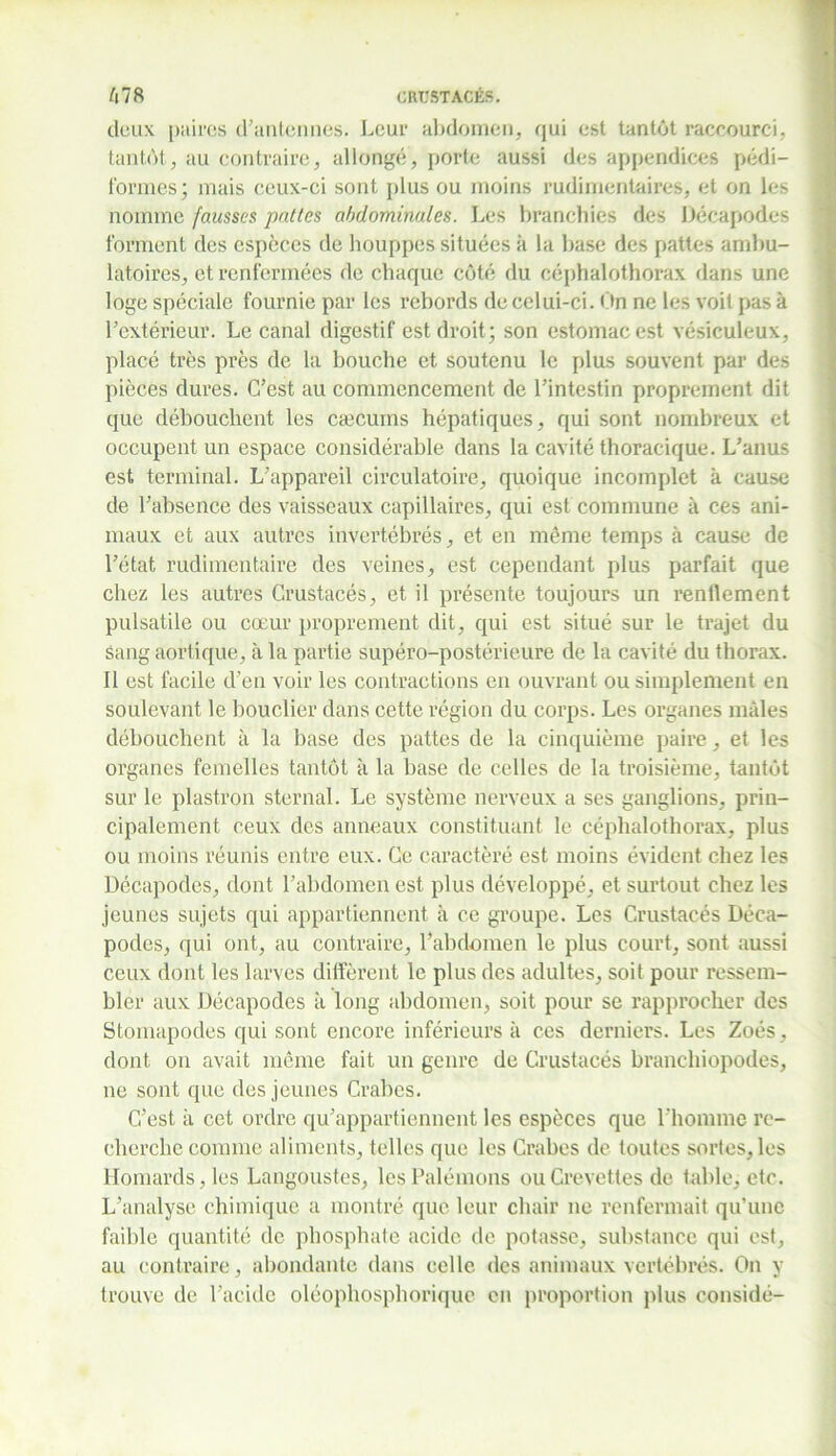 deux paires d’antennes. Leur abdomen, qui est tantôt raccourci, tantôt, au contraire, allongé, porte aussi des appendices pédi- t'ormes; mais ceux-ci sont plus ou moins rudimentaires, et on les nomme fausses pattes abdominales. Les branchies des Décapodes forment des espèces de houppes situées k la base des pattes ambu- latoires, et renfermées de chaque côté du céphalothorax dans une loge spéciale fournie par les rebords de celui-ci. On ne les voit pas à l’extérieur. Le canal digestif est droit; son estomac est vésiculeux, placé très près de la bouche et soutenu le plus souvent par des pièces dures. C’est au commencement de l’intestin proprement dit que débouchent les cæcums hépatiques, qui sont nombreux et occupent un espace considérable dans la cavité thoracique. L’anus est terminal. L’appareil circulatoire, quoique incomplet à cause de l’absence des vaisseaux capillaires, qui est commune k ces ani- maux et aux autres invertébrés, et en môme temps à cause de l’état rudimentaire des veines, est cependant plus parfait que chez les autres Crustacés, et il présente toujours un rendement pulsatile ou cœur proprement dit, qui est situé sur le trajet du sang aortique, à la partie supéro-postérieure de la cavité du thorax. Il est facile d’en voir les contractions en ouvrant ou simplement en soulevant le bouclier dans cette région du corps. Les organes mâles débouchent à la base des pattes de la cinquième paire, et les organes femelles tantôt k la base de celles de la troisième, tantôt sur le plastron sternal. Le système nerveux a ses ganglions, prin- cipalement ceux des anneaux constituant le céphalothorax, plus ou moins réunis entre eux. Ce caractère est moins évident chez les Décapodes, dont l’abdomen est plus développé, et surtout chez les jeunes sujets qui appartiennent k ce groupe. Les Crustacés Déca- podes, qui ont, au contraire, l’abdomen le plus court, sont aussi ceux dont les larves diffèrent le plus des adultes, soit pour ressem- bler aux Décapodes k long abdomen, soit pour se rapprocher des Stomapodes qui sont encore inférieurs k ces derniers. Les Zoés, dont on avait même fait un genre de Crustacés branchiopodes, ne sont que des jeunes Crabes. C’est k cet ordre qu’appartiennent les espèces que l’homme re- cherche comme aliments, telles que les Crabes de toutes sortes, les Homards, les Langoustes, lesPalémons ou Crevettes de table, etc. L’analyse chimique a montré que leur chair ne renfermait qu’une faible quantité de phosphate acide de potasse, substance qui est, au contraire, abondante dans celle des animaux vertébrés. On y trouve de l’acide oléophosphorique en proportion plus considé-