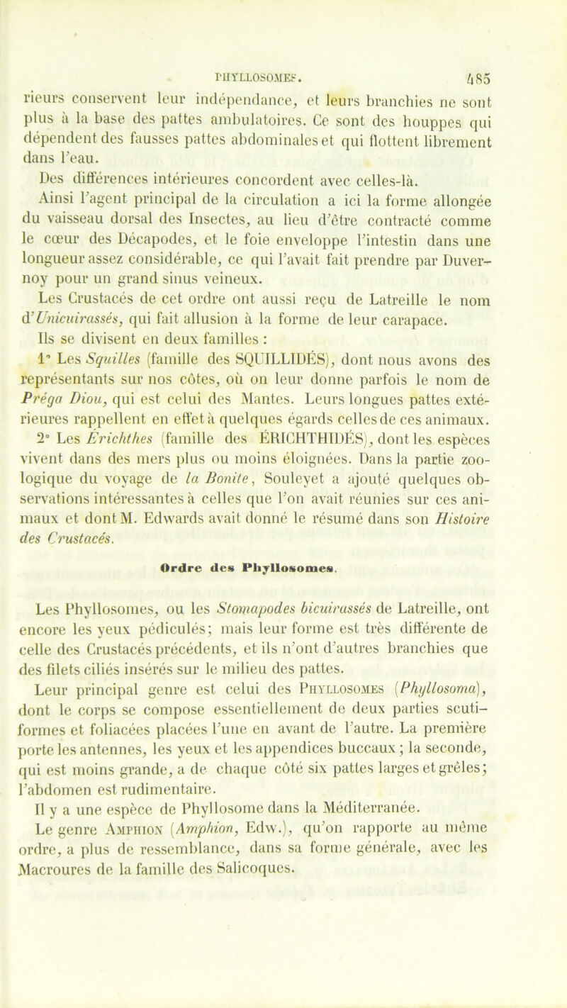 ÎHYLLOSOME?. /,S5 rieurs conservent leur indépendance, et leurs branchies ne sont plus a la base des pattes ambulatoires. Ce sont des houppes qui dépendent des fausses pattes abdominales et qui flottent librement dans l’eau. Des différences intérieures concordent avec celles-là. Ainsi 1 agent principal de la circulation a ici la forme allongée du vaisseau dorsal des Insectes, au lieu d’être contracté comme le cœur des Décapodes, et le foie enveloppe l’intestin dans une longueur assez considérable, ce qui l’avait fait prendre par Duver- noy pour un grand sinus veineux. Les Crustacés de cet ordre ont aussi reçu de Latreille le nom d’Unicuirassés, qui fait allusion à la forme de leur carapace. Ils se divisent en deux familles : 1* Les Squilles (famille des SQUILLIDÉS), dont nous avons des représentants sur nos cotes, où on leur donne parfois le nom de Préga Diou, qui est celui des Mantes. Leurs longues pattes exté- rieures rappellent en effet à quelques égards celles de ces animaux. 2° Les Érichthes (famille des ÉRICHTHIDÉS), dont les espèces vivent dans des mers plus ou moins éloignées. Dans la partie zoo- logique du voyage de la Bonite, Souleyet a ajouté quelques ob- servations intéressantes à celles que l’on avait réunies sur ces ani- maux et dontM. Edwards avait donné le résumé dans son Histoire des Crustacés. Ordre des IMi vllosomes Les Phyllosomes, ou les Stomapodes bicuirassés de Latreille, ont encore les yeux pédicules; mais leur forme est très différente de celle des Crustacés précédents, et ils n’ont d’autres branchies que des fdets ciliés insérés sur le milieu des pattes. Leur principal genre est celui des Phyllosomes (Phgllosoma), dont le corps se compose essentiellement de deux parties scuti- formes et foliacées placées l’une en avant de l’autre. La première porte les antennes, les yeux et les appendices buccaux ; la seconde, qui est moins grande, a de chaque côté six pattes larges et grêles; l’abdomen est rudimentaire. Il y a une espèce de Phyllosoine dans la Méditerranée. Le genre Amphion (Amphion, Edw.), qu’on rapporte au même ordre, a plus de ressemblance, dans sa forme générale, avec les Macroures de la famille des Salicoques.