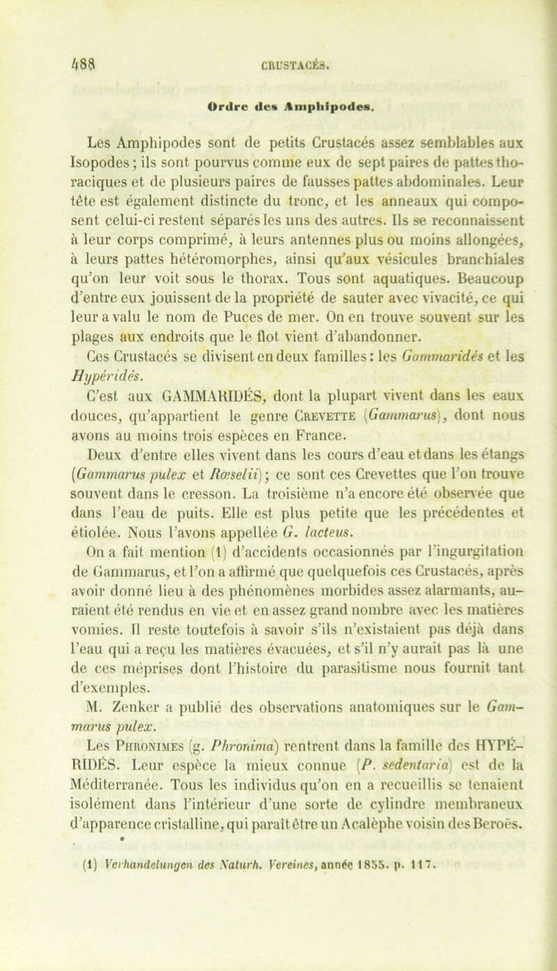 Ordre des Amphipodes. Les Amphipodes sont de petits Crustacés assez semblables aux Isopodes; ils sont pourvus comme eux de sept paires de pattes tho- raciques et de plusieurs paires de fausses pattes abdominales. Leur tête est également distincte du tronc, et les anneaux qui compo- sent celui-ci restent séparés les uns des autres. Ils se reconnaissent à leur corps comprimé, à leurs antennes plus ou moins allongées, à leurs pattes hétéromorphes, ainsi qu'aux vésicules branchiales qu’on leur voit sous le thorax. Tous sont aquatiques. Beaucoup d'entre eux jouissent de la propriété de sauter avec vivacité, ce qui leur a valu le nom de Puces de mer. On en trouve souvent sur les plages aux endroits que le flot vient d'abandonner. Ces Crustacés se divisent en deux familles: les Gammaridés et les Hyper idés. C’est aux GAMMARIDÉS, dont la plupart vivent dans les eaux douces, qu’appartient le genre Crevette [Gammarus), dont nous avons au moins trois espèces en France. Deux d’entre elles vivent dans les cours d’eau et dans les étangs [Gammarus pulex et Rœselii)’, ce sont ces Crevettes que l’on trouve souvent dans le cresson. La troisième n’a encore été observée que dans l’eau de puits. Elle est plus petite que les précédentes et étiolée. Nous l’avons appellée G. lacteus. On a fait mention (1) d’accidents occasionnés par l’ingurgitation de Gammarus, et l’on a affirmé que quelquefois ces Crustacés, après avoir donné lieu à des phénomènes morbides assez alarmants, au- raient été rendus en vie et en assez grand nombre avec les matières vomies. Il reste toutefois à savoir s’ils n’existaient pas déjà dans l’eau qui a reçu les matières évacuées, et s’il n’y aurait pas là une de ces méprises dont l’histoire du parasitisme nous fournit tant d’exemples. M. Zenker a publié des observations anatomiques sur le Gam- marus pulex. Les Phronimes (g. Phrordma) rentrent dans la famille des HYPE- RIDÉS. Leur espèce la mieux connue [P. sedentaria) est de la Méditerranée. Tous les individus qu’on en a recueillis se tenaient isolément dans l’intérieur d’une sorte de cylindre membraneux d’apparence cristalline, qui parait être un Acalèphe voisin des Beroës. (l) Verhandelungcn des Naturh. Vereines, année 1855. p. H 7.