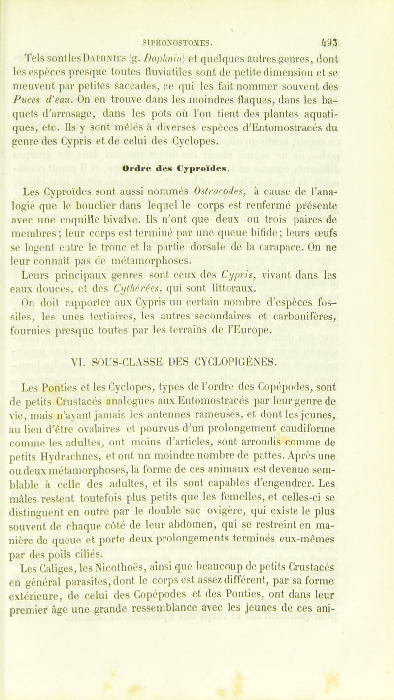 SIPIIOXOSTO.MES. /|93 Tels sont les Damnies g. Daphnin) et quelques autres genres, dont les espèces presque toutes fluviatiles sont de petite dimension et se meuvent par petites saccades, ce qui les fait nommer souvent des Puces d'eau. On en trouve dans les moindres flaques, dans les ba- quets d’arrosage, dans les pots où l’on tient des plantes aquati- ques, etc. Ils y sont mêlés à diverses espèces d’Entomostracés du genre des Cypris et de celui des Cyclopes. Ordre des Cyproïdes. Les Cyproïdes sont aussi nommés Oslracodes, à cause de l’ana- logie que le bouclier dans lequel le corps est renfermé présente avec une coquille bivalve. Ils n’ont que deux ou trois paires de membres; leur corps est terminé par une queue bifide; leurs œufs se logent entre le tronc et la partie dorsale de la carapace. On ne leur connaît pas de métamorphoses. Leurs principaux genres sont ceux des Cypris, vivant dans les eaux douces, et des Cythérées, qui sont littoraux. On doit rapporter aux Cypris un certain nombre d’espèces fos- siles, les unes tertiaires, les autres secondaires et carbonifères, fournies presque toutes par les terrains de l’Europe. VI. SOL'S-CLASSE DES CYCLOPIGÈNES. Les Ponties et les Cyclopes, types de l’ordre des Copépodes, sont de petits Crustacés analogues aux Entomostracés par leur genre de vie, mais n’ayant jamais les antennes rameuses, et dont les jeunes, au lieu d’être ovalaires et pourvus d’un prolongement caudiforme comme les adultes, ont moins d’articles, sont arrondis comme de petits Hydrachnes, et ont un moindre nombre de pattes. Après une ou deux métamorphoses, la forme de ces animaux est devenue sem- blable à celle des adultes, et ils sont capables d’engendrer. Les mâles restent toutefois plus petits que les femelles, et celles-ci se distinguent en outre par le double sac ovigère, qui existe le plus souvent de chaque côté de leur abdomen, qui se restreint en ma- nière de queue et porte deux prolongements terminés eux-mêmes par des poils ciliés. Les Caliges, les Nicothoës, ainsi que beaucoup de petits Crustacés en général parasites, dont le corps est assez différent, par sa forme extérieure, de celui des Copépodes et des Ponties, ont dans leur premier âge une grande ressemblance avec les jeunes de ces ani-