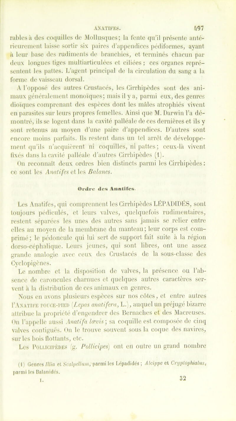 ANATIFES. â97 rallies à des coquilles de Mollusques; la fente qu'il présente anté- rieurement laisse sortir six paires d’appendices pédiformes, ayant à leur base des rudiments de branchies, et terminés chacun par deux longues tiges multiarticulées et ciliées ; ccs organes repré- sentent les pattes. L’agent principal de la circulation du sang a la forme de vaisseau dorsal. A l’opposé des autres Crustacés, les Cirrhipèdes sont des ani- maux généralement monoïques; mais il y a, parmi eux, des genres dioïques comprenant des espèces dont les mâles atrophiés vivent en parasites sur leurs propres femelles. Ainsi que M. Darwin l’a dé- montré, ils se logent dans la cavité palléale de ces dernières et ils y sont retenus au moyen d’une paire d’appendices. D’autres sont encore moins parfaits. Ils restent dans un tel arrêt de développe- ment qu’ils n’acquièrent ni coquilles, ni pattes; ceux-là vivent tixés dans la cavité palléale d’autres Cirrhipèdes (1). On reconnaît deux ordres bien distincts parmi les Cirrhipèdes : ce sont les Anatifes et les Balanes. Ordre des Anatifes. Les Anatifes, qui comprennent les Cirrhipèdes LËPADIDÉS, sont toujours pédicules, et leurs valves, quelquefois rudimentaires, restent séparées les unes des autres sans jamais se relier entre elles au moyen de la membrane du manteau; leur corps est com- primé; le pédoncule qui lui sert de support fait suite à la région dorso-céphalique. Leurs jeunes, qui sont libres, ont une assez grande analogie avec ceux des Crustacés de la sous-classe des Cyclopigènes. Le nombre et la disposition de valves, la présence ou l’ab- sence de caroncules charnues et quelques autres caractères ser- vent à la distribution de ces animaux en genres. Nous en avons plusieurs espèces sur nos côtes, et entre autres I’Anatii-e roccE-HED lLepas anatifera, L.), auquel un préjugé bizarre attribue la propriété d’engendrer des Bernaches et des Macreuses. On l’appelle aussi Anatifa lœvis; sa coquille est composée de cinq valves contiguës. On le trouve souvent sous la coque des navires, sur les bois flottants, etc. Les Pollicipèdes (g. Pollicipes) ont en outre un grand nombre (1) Genres Illia et Scalpellum, parmi les Lépadidés ; Alcippe et Cryplophialus, parmi les Balanidés. 32