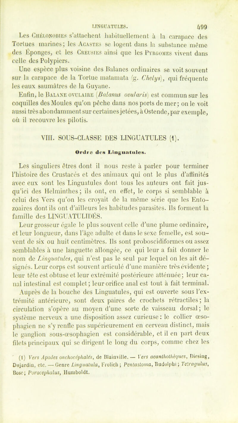 Les Chélonobies s’attachent habituellement à la carapace des Tortues marines; les Acastes se logent dans la substance même des Éponges, et les Creusies ainsi que les Pyrgomes vivent dans celle des Polypiers. Une espèce plus voisine des Balanes ordinaires se voit souvent sur la carapace de la Tortue matamata (g. Ckelys), qui fréquente les eaux saumâtres de la Guyane. Enfin, le Balane ovulaire [Balanus ovularis) est commun sur les coquilles des Moules qu’on pêche dans nos ports de mer; on le voit aussi très abondamment sur certaines jetées, à Ostende, par exemple, où il recouvre les pilotis. VIII. SOUS-CLASSE DES LINGUATULES (1). Ordre des Linguatules. Les singuliers êtres dont il nous reste à parler pour terminer l’histoire des Crustacés et des animaux qui ont le plus d’affinités avec eux sont les Linguatules dont tous les auteurs ont fait jus- qu’ici des Helminthes; ils ont, en effet, le corps si semblable à celui des Vers qu’on les croyait de la même série que les Ento- zoaires dont ils ont d’ailleurs les habitudes parasites. Ils forment la famille des LINGUATULTDÉS. Leur grosseur égale le plus souvent celle d’une plume ordinaire, et leur longueur, dans l’âge adulte et dans le sexe femelle, est sou- vent de six ou huit centimètres. Ils sont proboscidiformes ou assez semblables à une languette allongée, ce qui leur a fait donner le nom de Linguatules, qui n’est pas le seul par lequel on les ait dé- signés. Leur corps est souvent articulé d’une manière très évidente ; leur tète est obtuse et leur extrémité postérieure atténuée; leur ca- nal intestinal est complet; leur orifice anal est tout à fait terminal. Auprès de la bouche des Linguatules, qui est ouverte sous l’ex- trémité antérieure, sont deux paires de crochets rétractiles; la circulation s’opère au moyen d’une sorte de vaisseau dorsal; le système nerveux a une disposition assez curieuse : le collier œso- phagien ne s’y renfle pas supérieurement en cerveau distinct, mais le ganglion sous-œsophagien est considérable, et il en part deux filets principaux qui se dirigent le long du corps, comme chez les (I) Vers Apodes onchocéphalcs, de Blainville.— l’ers acanlhollicques, Dicsing, Dujardin, etc. — Genre Lingualula, LTolicli; Pcntasloma, Rudolpbi ; Telragulus, Bosc; Poroccpludus, Humboldt.