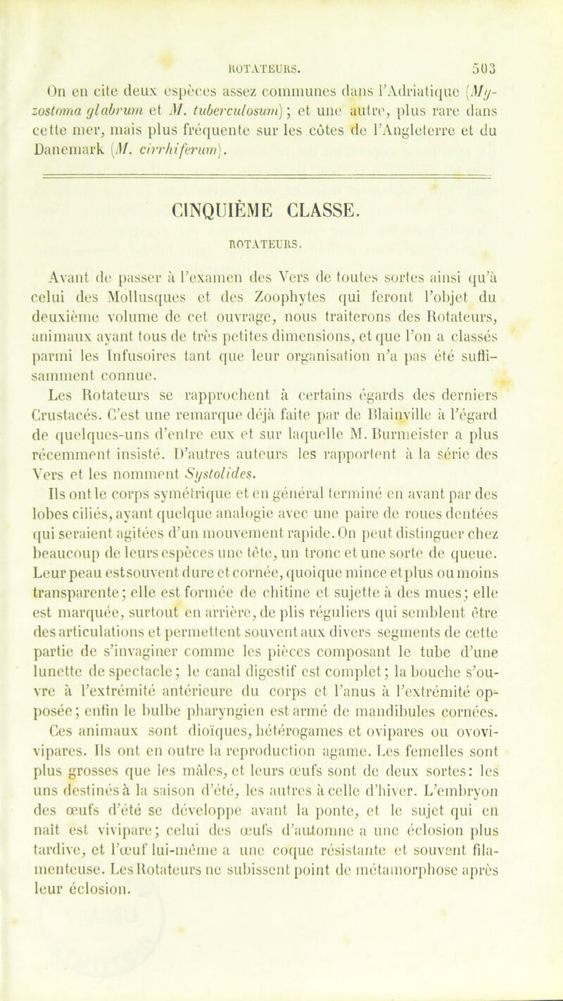 On en cite deux espèces assez communes dans l'Adriatique [My- zostnma giabrum et .)/. tuberculosum) ; et une autre, plus rare dans cette mer, mais plus fréquente sur les côtes de l’Angleterre et du Danemark [M. cirrhiferum). CINQUIÈME CLASSE. ROTATEURS. Avant de passer à l'examen des Vers de toutes sortes ainsi qu’à celui des Mollusques et des Zoophytes qui feront l’objet du deuxième volume de cet ouvrage, nous traiterons des Rotateurs, animaux ayant tous de très petites dimensions, et que l’on a classés parmi les Infusoires tant que leur organisation n’a pas été suffi- samment connue. Les Rotateurs se rapprochent à certains égards des derniers Crustacés. C’est une remarque déjà faite par de Blainville à l’égard de quelques-uns d'entre eux et sur laquelle M. Burmeister a plus récemment insisté. D’autres auteurs les rapportent à la série des Vers et les nomment Systolicles. Ils ont le corps symétrique et en général terminé en avant par des lobes ciliés, ayant quelque analogie avec une paire de roues dentées qui seraient agitées d’un mouvement rapide. On peut distinguer chez beaucoup de leurs espèces une tète, un tronc et une sorte de queue. Leur peau estsouvent dure et cornée, quoique mince et plus ou moins transparente; elle est formée de chitine et sujette à des mues; elle est marquée, surtout en arrière, de plis réguliers qui semblent être désarticulations et permettent souvent aux divers segments de cette partie de s’invaginer comme les pièces composant le tube d’une lunette de spectacle; le canal digestif est complet ; la bouche s’ou- vre à l'extrémité antérieure du corps et l’anus à l’extrémité op^- posée; enfin le bulbe pharyngien est armé de mandibules cornées. Ces animaux sont dioïques, liétérogames et ovipares ou ovovi- vipares. Ils ont en outre la reproduction agame. Les femelles sont plus grosses que les mâles, et leurs œufs sont de deux sortes: les uns destinés à la saison d'été, les autres à celle d’hiver. L’embryon des œufs d’été se développe avant la ponte, et le sujet qui en nait est vivipare; celui des œufs d’automne a une éclosion plus tardive, et l’œuf lui-même a une coque résistante et souvent fila- menteuse. Les Rotateurs ne subissent point de métamorphose après leur éclosion.