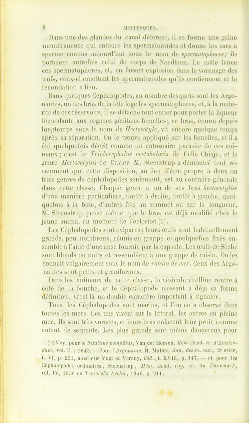 Dans une des glandes du canal déférent, il se forme une gaine membraneuse qui entoure les spermatozoïdes et donne les sacs à sperme connus aujourd’hui sous le nom de spermalopltores ; ils portaient autrefois celui de corps de Needham. Le mâle lance ces spermatophores, et, en faisant explosion dans le voisinage des œufs, ceux-ci émettent les spermatozoïdes qu’ils contiennent et la fécondation a lieu. Dans quelques Céphalopodes, au nombre desquels sont les Argo- nautes, un des bras de la tête loge les spermatophores, et, à la matu- rité de ces réservoirs, il se détache tout entier pour porter la liqueur fécondante aux organes génitaux femelles; ce bras, connu depuis longtemps sous le nom de Ifectocotyle, vit encore quelque temps après sa séparation. On le trouve appliqué sur les femelles, et il a été quelquefois décrit comme un entozoaire parasite de ces ani- maux; c’est le Trichoceplutlus acetabularis de Delle Chiaje, et le genre Heclocotylus de Cuvier. M. Steenstrup a démontré tout ré- cemment que cette disposition, au lieu d’être propre à deux ou trois genres de céphalopodes seulement, est au contraire générale dans cette classe. Chaque genre a un de ses bras hedocotylisc d’une manière particulière, tantôt à droite, tantôt à gauche, quel- quefois à la base, d’autres fois au sommet ou sur la longueur, M. Steenstrup pense même que le bras est déjà modifié chez le jeune animal au moment de l’éclosion (1). Les Céphalopodes sont ovipares ; leurs œufs sont habituellement grands, peu nombreux, réunis en grappe et quelquefois fixés en- semble à l’aide d’une anse fournie par la capsule. Les œufs de Sèche sont blonds ou noirs et ressemblent à une grappe de raisin. On les connaît vulgairement sous le nom de raisins de mer. Ceux des Argo- nautes sont petits et graniformes. Dans les animaux de cette classe, la vésicule vitelline rentre à côté de la bouche, et le Céphalopode naissant a déjà sa forme définitive. C’est là un double caractère important à signaler. Tous les Céphalopodes sont marins, et Ton en a observé dans toutes les mers. Les uns vivent sur le littoral, les autres en pleine mer. Ils sont très voraces, et leurs bras enlacent leur proie comme autant de serpents. Les plus grands sont même dangereux pour (1) Voy. pour le Naulilus pompilius, Vau (1er Hoevcn, Mcm Acad. sc. d'Amster- dam, vol. III; 1843.— Pour V Argonaute, H. Muller, Ann. des sc. nat., 21' série, t. VI, p. 291, ainsi que Vogt et Verany, ibid., t. XV1I1, p. 147, — et pour les Céphalopodes ordinaires, Steeustrup, Mcm. Acad. roy. sc. du Dancma I;, toi. IV, I83C ou Troschel’s Archiv, I8iü, p 211.