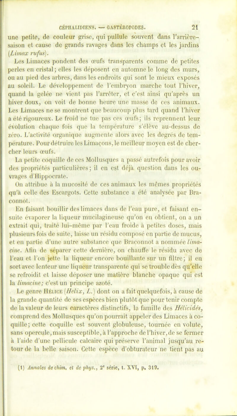 une petite, de couleur grise, qui pullule souvent dans l’arrière- saison et cause de grands ravages dans les champs et les jardins [Umax ru fus). Les Limaces pondent des œufs transparents comme de petites perles en cristal ; elles les déposent en automne le long des murs, ou au pied des arbres, dans les endroits qui sont le mieux exposés au soleil. Le développement de l’embryon marche tout l’hiver, quand la gelée ne vient pas l’arrêter, et c’est ainsi qu’après un hiver doux, on voit de bonne heure une masse de ces animaux. Les Limaces ne se montrent que beaucoup plus tard quand l’hiver a été rigoureux. Le froid ne tue pas ces œufs; ils reprennent leur évolution chaque fois que la température s’élève au-dessus de zéro. L’activité organique augmente alors avec les degrés de tem- pérature. Pour détruire les Limaçons, le meilleur moyen est de cher- cher leurs œufs. La petite coquille de ces Mollusques a passé autrefois pour avoir des propriétés particulières; il en est déjà question dans les ou- vrages d'Hippocrate. On attribue à la mucosité de ces animaux les mêmes propriétés qu’à celle des Escargots. Cette substance a été analysée par Bra- connot. En faisant bouillir des limaces dans de l’eau pure, et faisant en- suite évaporer la liqueur mucilagineuse qu’on en obtient, on a un extrait qui, traité lui-même par l’eau froide à petites doses, mais plusieurs fois de suite, laisse un résidu composé en partie de mucus, et en partie d’une autre substance que Braconnot a nommée lima- cine. Afin de séparer cette dernière, on chauffe le résidu avec de l’eau et l’on jette la liqueur encore bouillante sur un filtre; il en sort avec lenteur une liqueur transparente qui se trouble dès qu’elle se refroidit et laisse déposer une matière blanche opaque qui est la limacine; c’est un principe azoté. Le genre Hélice [Hélix, L.) dont on a fait quelquefois, à cause de la grande quantité de ses espèces bien plutôt que pour tenir compte de la valeur de leurs caractères distinctifs, la famille des Hélicidés, comprend des Mollusques qu’on pourrait appeler des Limaces à co- quille; cette coquille est souvent globuleuse, tournée en volute, sans opercule,mais susceptible, à l’approche de l’hiver, de se fermer à l’aide d’une pellicule calcaire qui préserve l’animal jusqu’au re- tour de la belle saison. Cette espèce d’obturateur ne tient pas au (1) Annales dechim, el de phys., 2' série, t. XVI, p. 319.