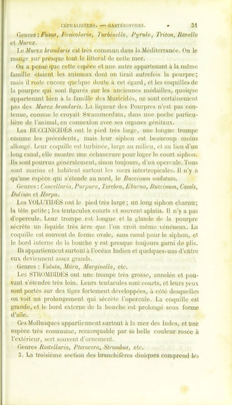 Genres : Fusus, Fusicolario, Turbinella, Pyrula, Triton, Ranellu et Murex. Le Murex brandaris est très commun dans la Méditerranée. On le mange sur presque tout le littoral de cette mer. Ou a pensé que cette espèce et une autre appartenant à la même famille étaient les animaux dont on tirait autrefois 1a pourpre; mais il reste encore quelque doute à cet égard, et les coquilles de la pourpre qui sont figurés sur les anciennes médailles, quoique appartenant bien il la famille des Muricidés, ne sont certainement pas des Murex brandaris. La liqueur des Pourpres n’est pas con- tenue, comme le croyait Swammerdam, dans une poche particu- lière de l’animal, en connexion avec ses organes génitaux. Les BUCCINIGIDÉS ont le pied très large, une longue trompe comme les précédents, mais leur siphon est beaucoup moins allongé. Leur coquille est turbinée, large au milieu, et au lieu d’un long canal, elle montre une échancrure pour loger le court siphon. Us sont pourvus généralement, sinon toujours, d’un opercule. Tous sont marins et habitent surtout les mers intertropicales. 11 n’y a qu’une espèce qui s’étende au nord, le Buccinum undatum. Genres: Cancellaria, Purpura, Terebra, Eburna, Buccinum, Cassis, Dolium et Harpa. Les VOLUTIDËS ont le pied très large; un long siphon charnu; la tète petite; les tentacules courts et souvent aplatis. 11 n’y a pas d’opercule. Leur trompe est longue et la glande de la pourpre sécrète un liquide très âcre que l’on croit même vénéneux. La coquille est souvent de forme ovale, sans canal pour le siphon, et le bord interne de la bouche y est presque toujours garni de plis. Ils appartiennent surtout à l’océan Indien et quelques-uns d’entre eux deviennent assez grands. Genres : Voluta, Mitra, Marginella, etc. Les STROMBIDÉS ont une trompe très grosse, annelée et pou- vant s’étendre très loin. Leurs tentacules sont courts, et leurs yeux sont portés sur des tiges fortement développées, à coté desquelles on voit un prolongement qui sécrète l’opercule. La coquille est grande, et le bord externe de la bouche est prolongé sous forme d’aile. Ces Mollusques appartiennent surtout à la mer des Indes, et une espèce très commune, remarquable par sa belle couleur rosée à l’extérieur, sert souvent d’ornement. Genres BostelLaria, Pterocera, Strombus, etc. 3. La troisième section des branchifères dioiques comprend les