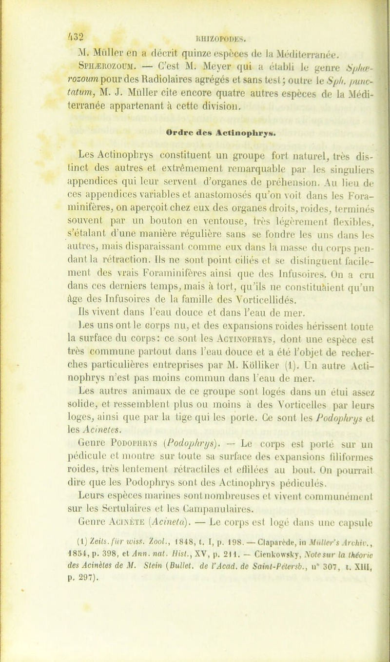 ft32 KHIZOPODES. M. Millier en a décrit quinze espèces de la Méditerranée. Seuærozoüm. — C’est M. Meyer qui a établi le genre Sphte- rozoum pour des Radiolaires agrégés et sans test ; outre le S/j/i. /iunc- tntum, M. J. Muller cite encore quatre autres espèces de la Médi- terranée appartenant à cette division. Ordre des Actlnoplirys. Les Actinophrys constituent un groupe fort naturel, très dis- tinct des autres et extrêmement remarquable par les singuliers appendices qui leur servent d’organes de préhension. Au lieu de ces appendices variables et anastomosés qu’on voit dans les Fora- minifères, on aperçoit chez eux des organes droits, roides, terminés souvent par un bouton en ventouse, très légèrement flexibles, s’étalant d’une manière régulière sans se fondre les uns dans les autres, mais disparaissant comme eux dans la masse du corps pen- dant la rétraction. Ils ne sont point ciliés et se distinguent facile- ment des vrais Foraminifères ainsi que des Infusoires. On a cru dans ces derniers temps, mais à tort, qu’ils ne constituaient qu’un âge des Infusoires de la famille des Vorticellidés. Ils vivent dans l’eau douce et dans l’eau de mer. Les uns ont le Gorps nu, et des expansions roides hérissent toute la surface du corps: ce sont les Actinophrys, dont une espèce est très commune partout dans l’eau douce et a été l’objet de recher- ches particulières entreprises par M. Kolliker (1). Un autre Acti- nophrys n’est pas moins commun dans l’eau de mer. Les autres animaux de ce groupe sont logés dans un étui assez solide, et ressemblent plus ou moins à des Yorticelles par leurs loges, ainsi que par la tige qui les porte. Ce sont les Podophrys et les Acinetcs. Genre Podophrys (Podophrys). — Le corps est porté sur un pédicule et montre sur toute sa surface des expansions filiformes roides, très lentement rétractiles et ellilées au bout. On pourrait dire que les Podophrys sont des Actinophrys pédicules. Leurs espèces marines sont nombreuses et vivent communément sur les Sertulaires et les Campanulaires. Genre Acinète [Acineta). — Le corps est logé dans une capsule (1) Zeils.fiir wiss. 1 ool., 1848,1, I, p. 198. — Claparède, in Miniers Arehiv., 1854, p. 398, et Ann. nat. Hist., XV, p. 211. — Cienkowsky, oie sur la théorie des Acinètes de M. Stein (Bullel. de l’Acad. de Sainl-Pétersb., u 307, t. XIII, p. 297).