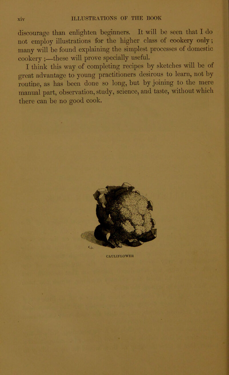 ILLUSTRATIONS OF TIIE BOOK discourage than enlighten beginners. It will be seen that I do not employ illustrations for the higher class of cookery only; many will be found explaining the simplest processes of domestic cookery ;—these will prove specially useful. I think this way of completing recipes by sketches will be of great advantage to young practitioners desirous to learn, not by routine, as has been done so long, but by joining to the mere manual part, observation, study, science, and taste, without which there can be no good cook. CAULIFLOWER