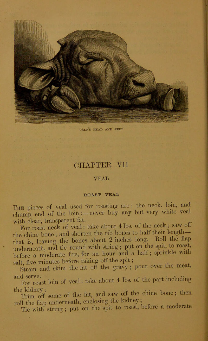 caj.f’s head and feet CHAPTER YII VEAL BOAST VEAL The pieces of veal used for roasting are : tlie neck, loin, and chump end of the loin never buy any but very white veal with clear, transparent fat. For roast neck of veal: take about 4 lbs. of the neck; saw ott the chine bone; and shorten the rib bones to half their length that is leaving the bones about 2 inches long. Roll the flap underneath, and tie round with string ; put on the spit to roast, before a moderate fire, for an hour and a half; sprinkle with salt five minutes before taking off the spit; Strain and skim the fat ofi the gravy; pour over the meat, ^Fofroast loin of veal: take about 4 lbs. of the part including ^Trim11^ some of the fat, and saw off the chine bone; then roll the flap underneath, enclosing the kidney; Tie with string ; put on the spit to roast, before a moderate