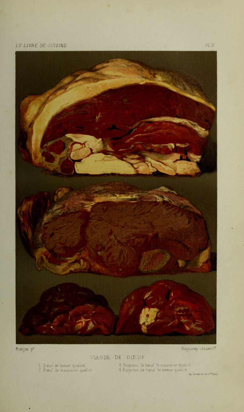 Ronjat pl Rcoamey ahi'omol* VIANDE DE BŒUF 1 34euf de bonne qualité 2 Roeui de mauvaise qualité 3 Koqnoiu de bœuf le mauvaise cruahte i Pv.oqr.oiis de ooeuJ de bonne qualité 'au le: f ■ C'*Pon i