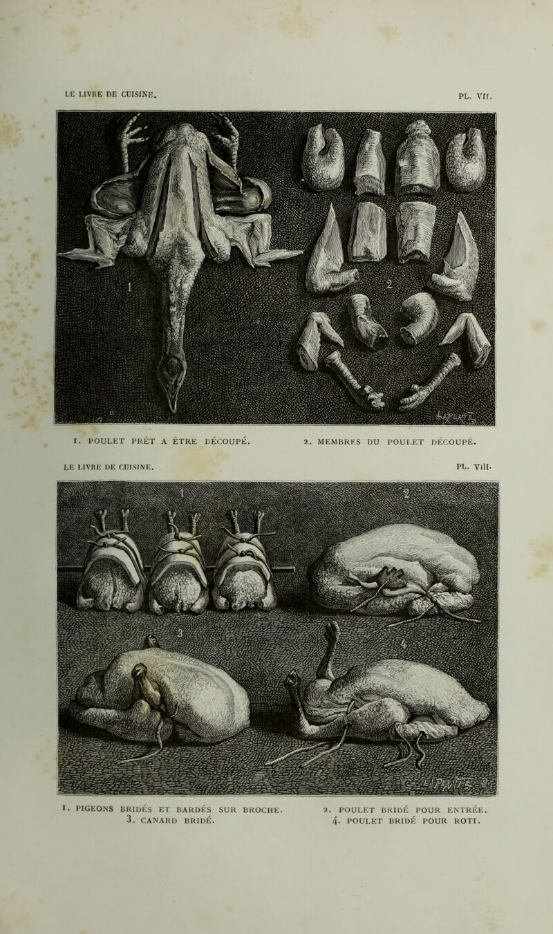 pl. vrr I. POULET PRET A ÊTRE DÉCOUPÉ. 2. MEMBRES DU POULET DÉCOUPÉ. LE LIVRE DE CUISINE. PL. VIH- *• PIGEONS BRIDÉS ET BARDÉS SUR BROCHE. 2. POULET BRIDÉ POUR ENTRÉE. 3. CANARD BRIDÉ. 4- POULET BRIDÉ POUR ROTI.