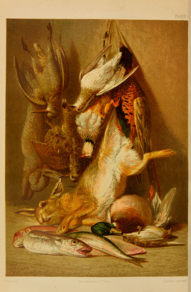 PLATE I