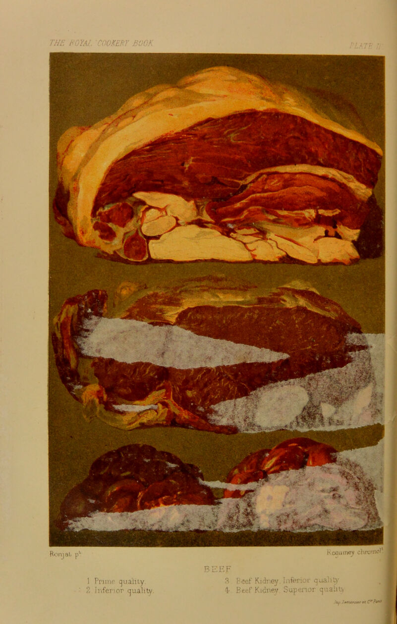 1 Frime quality. : 2 infenor cjuality. 3 Beef Kidney. Inferior quality 4- Beef Kidnev Supenor cjuahlv V /rmcr-ær et C* ?*nt