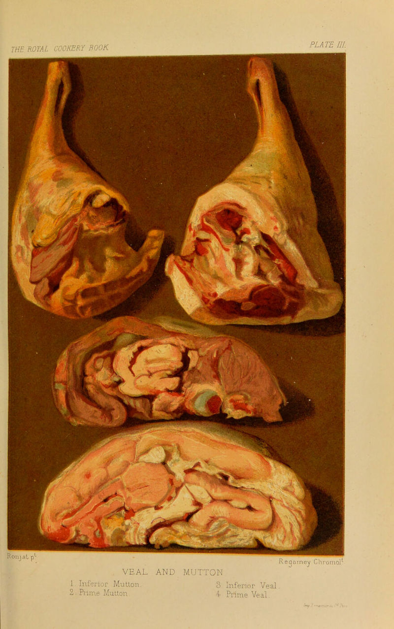 PLATE 111. Ronjal p1 Regarney Chromo] VF. AL AND MUTTON 1 Inferior Mutlon. 3 Inferior Ve al. 2. Prime M.u.tton 4- Prime Ve al