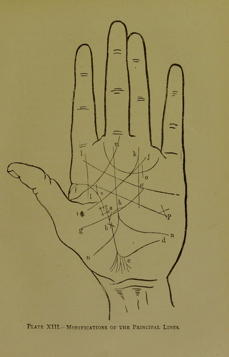 Plate XIII.— MormcATioNS of the Principal Lines,