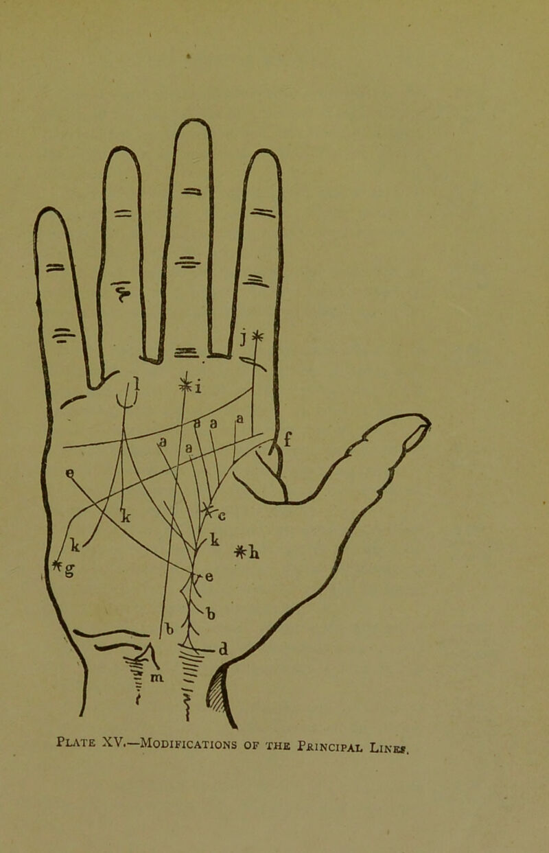 Plate XV.—Modifications of the Principal Line*.